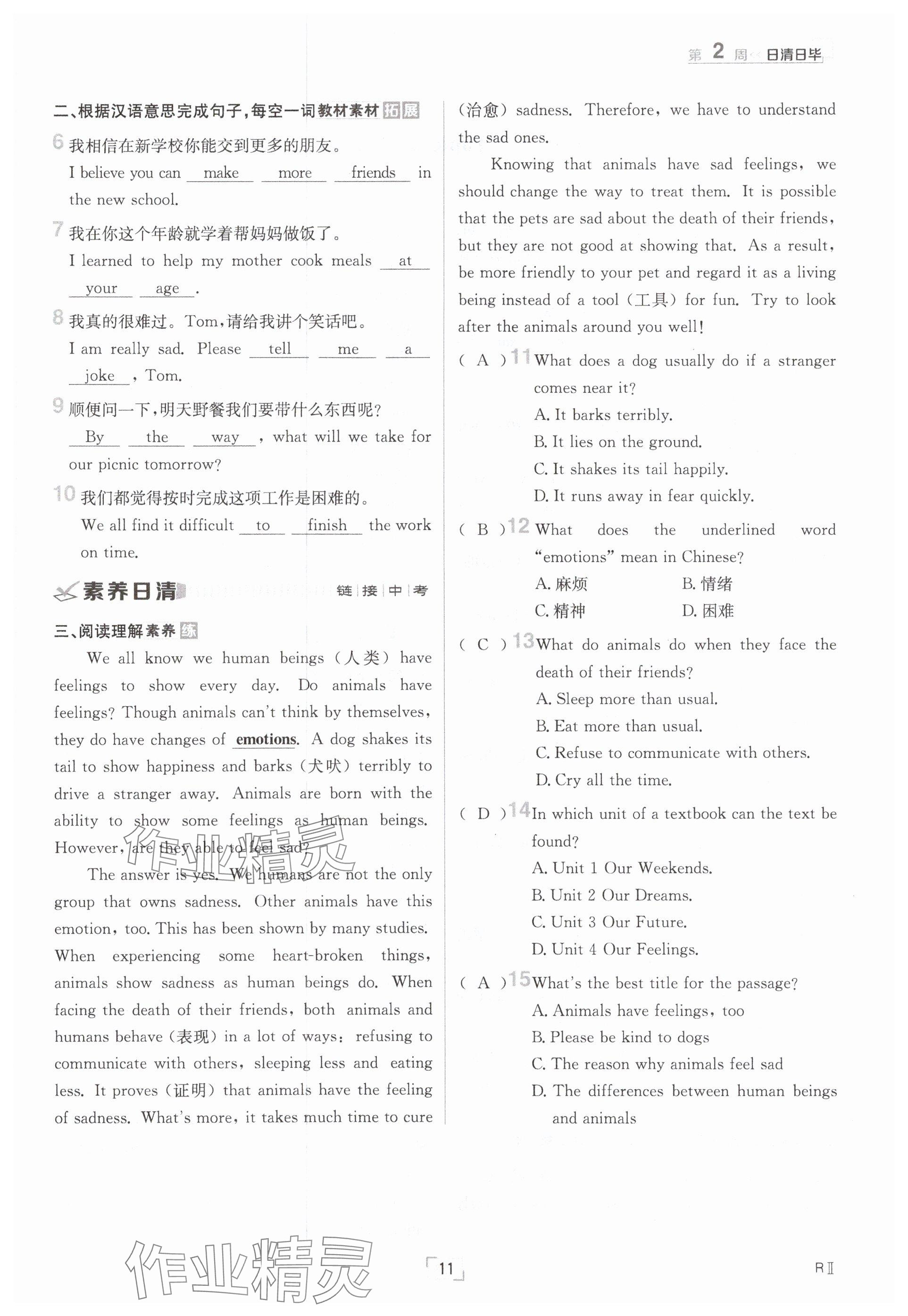 2025年日清周練八年級英語下冊仁愛版 參考答案第11頁