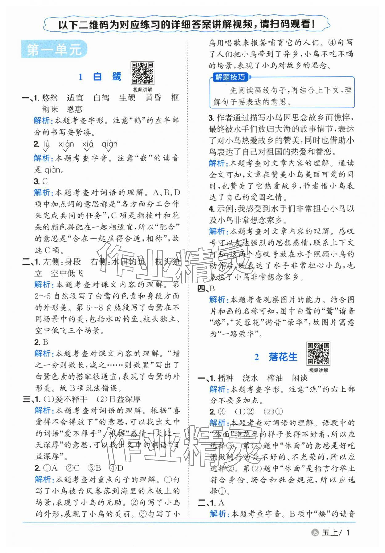 2025年阳光同学课时优化作业五年级语文上册人教版 第1页