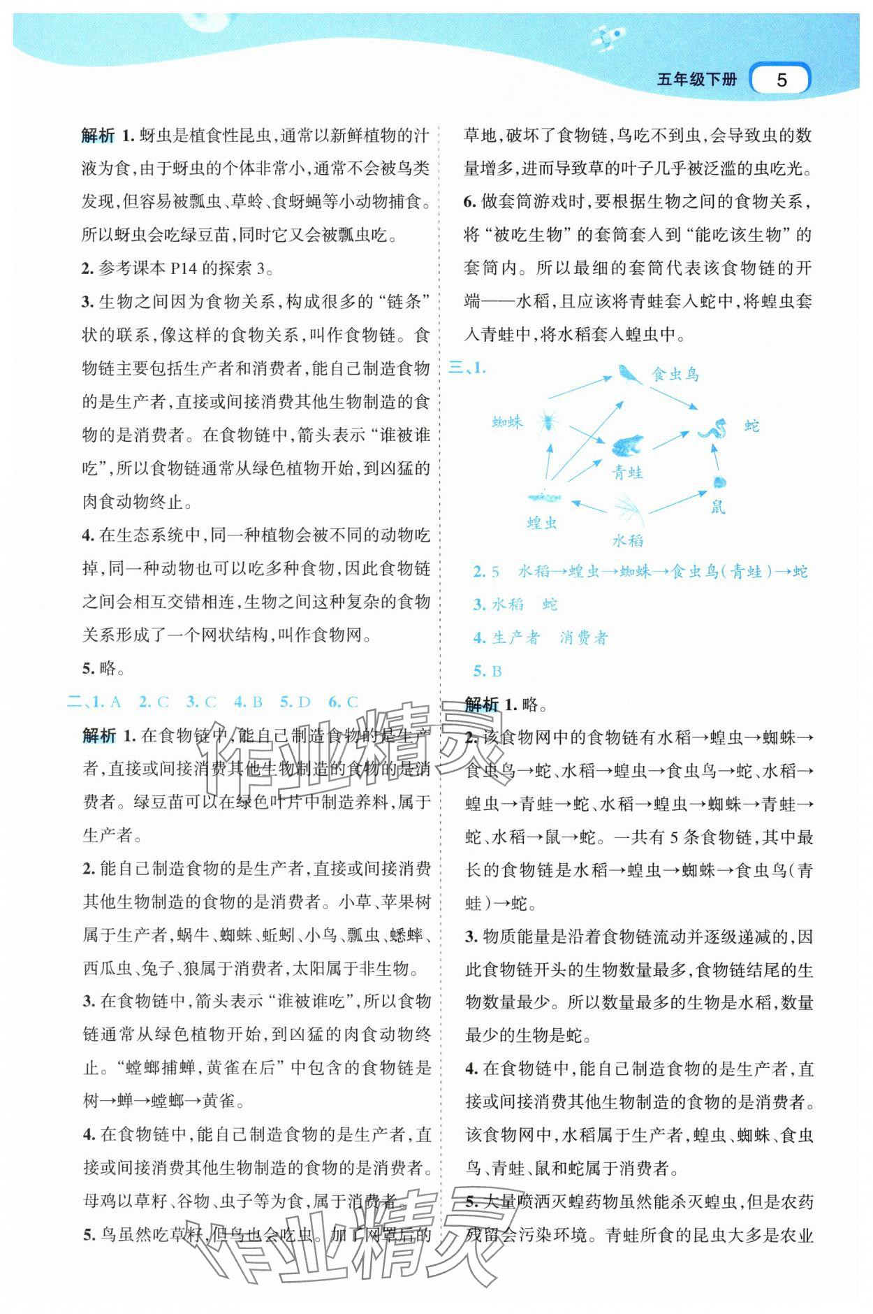 2025年名師面對面科學(xué)滿分寶五年級下冊教科版 參考答案第5頁