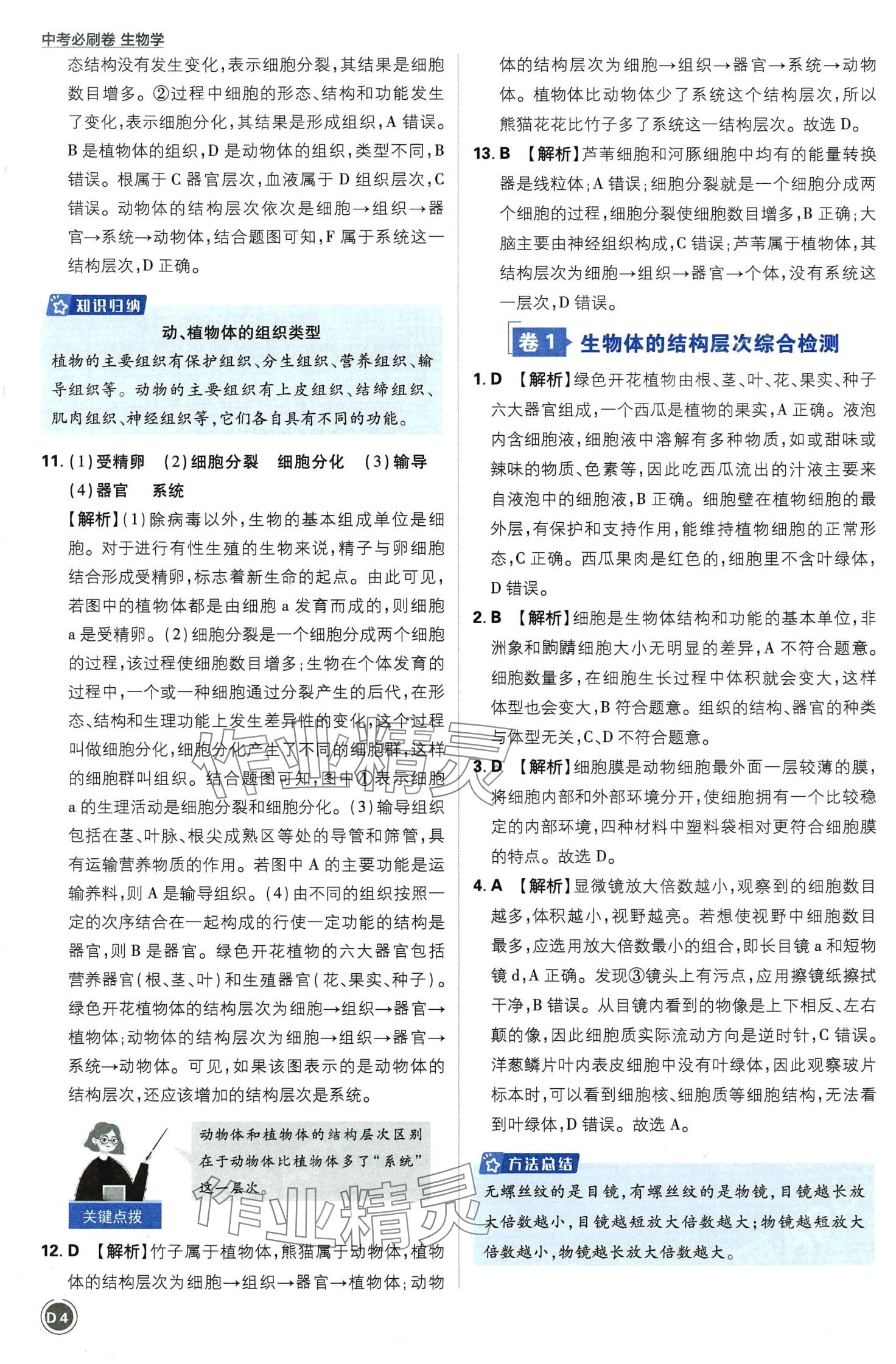 2024年中考必刷卷开明出版社生物&nbsp;第4页