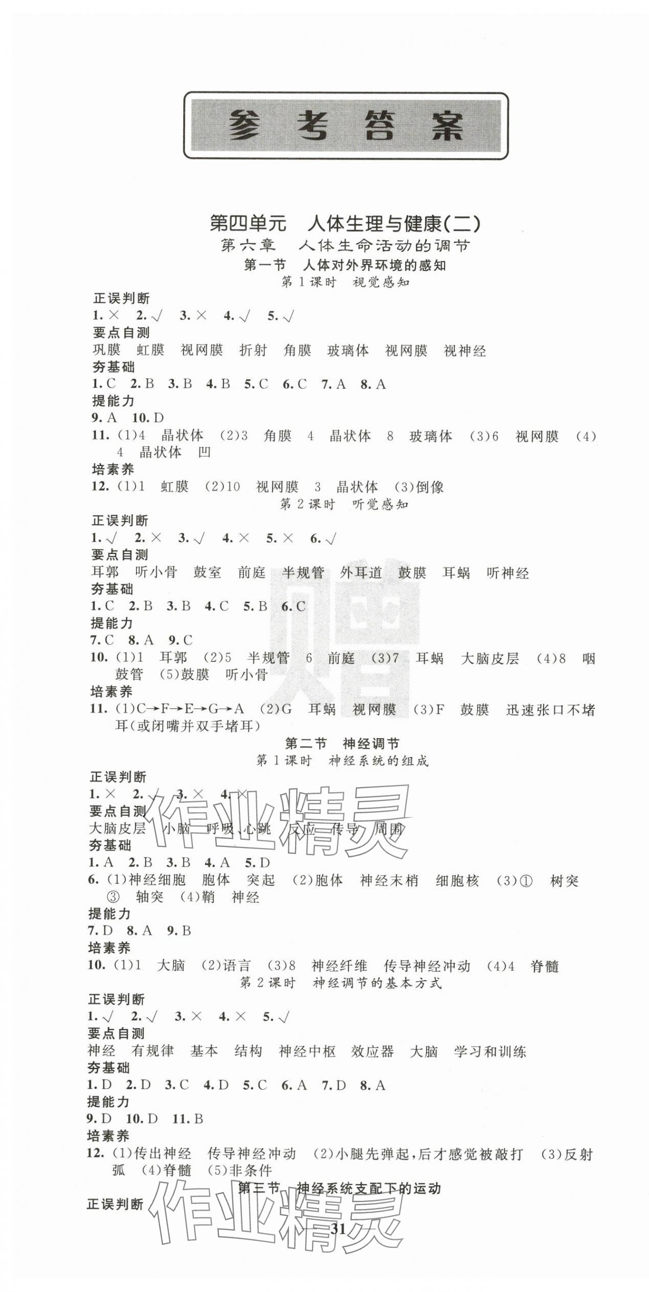 2025年课堂点睛八年级生物上册人教版 第1页