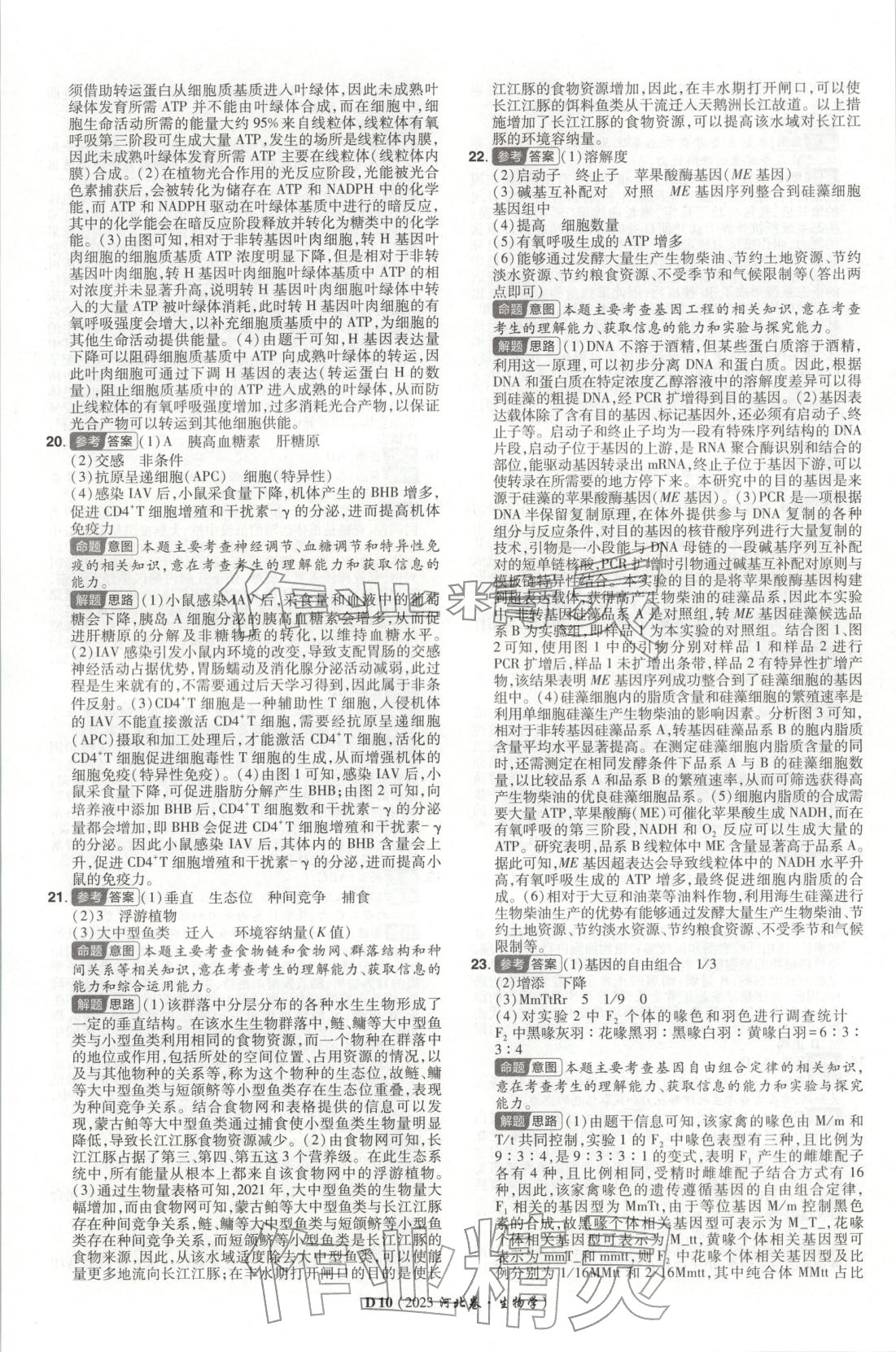 2026年新高考5年真题生物河北专版 第10页