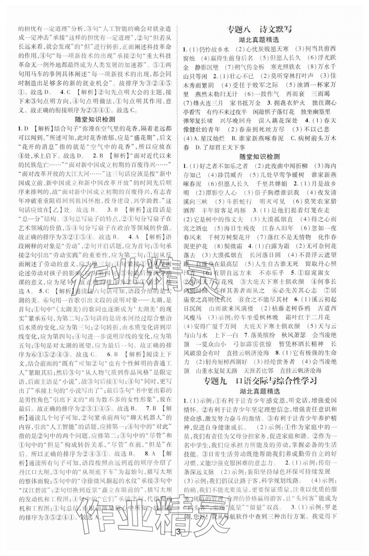 2024年名師測(cè)控中考特訓(xùn)方案語(yǔ)文湖北專版 參考答案第3頁(yè)