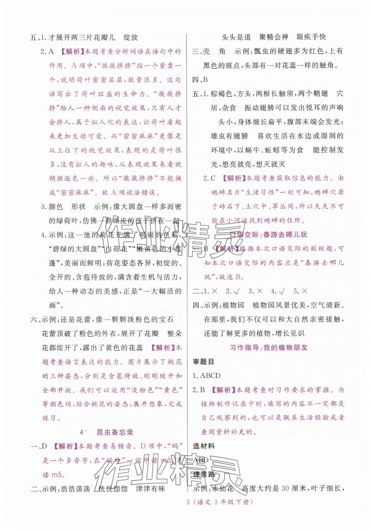 2025年揚帆天天練三年級語文下冊人教版 第3頁