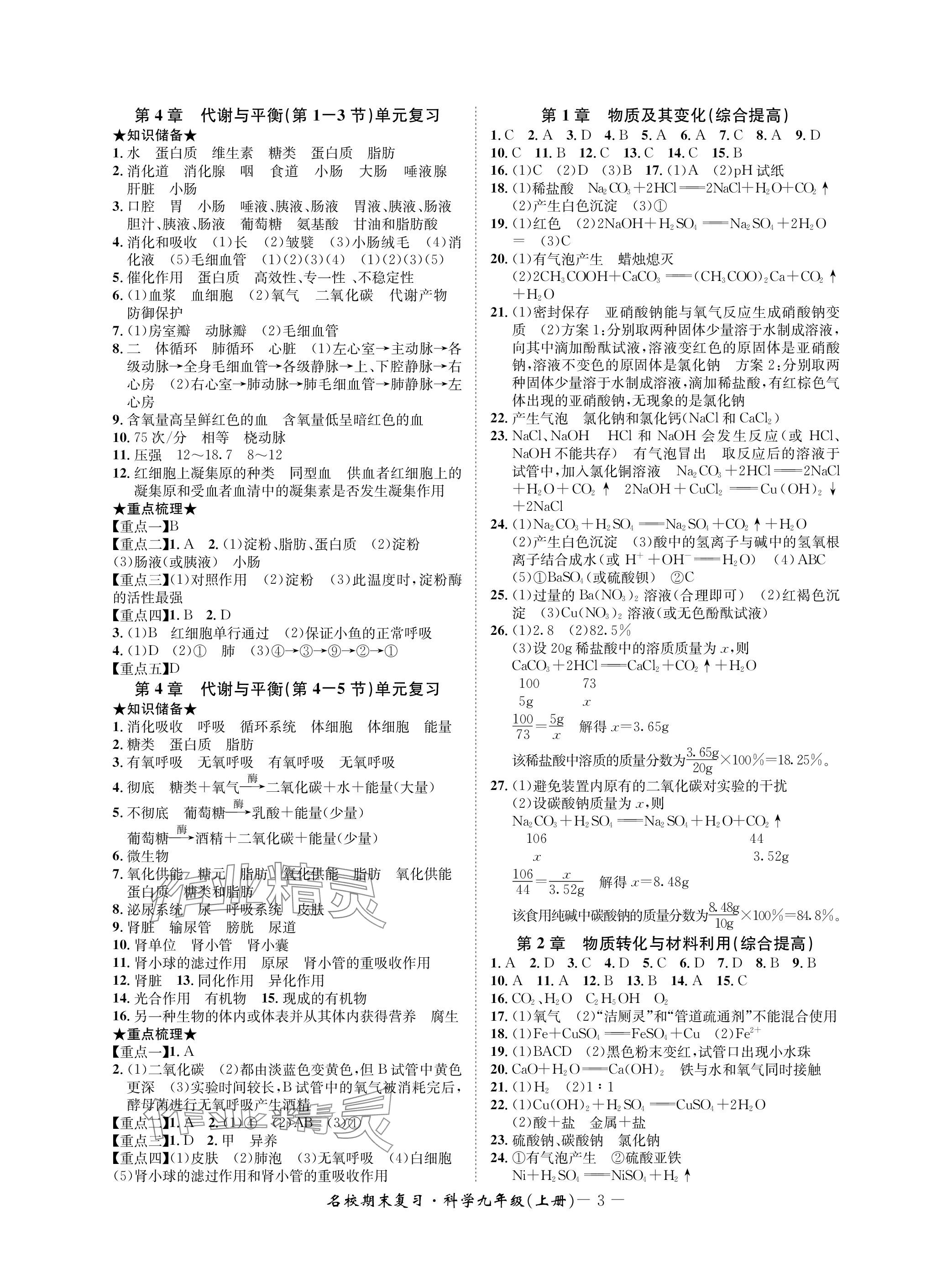 2023年名校期末复习宝典九年级科学上册浙教版 参考答案第3页