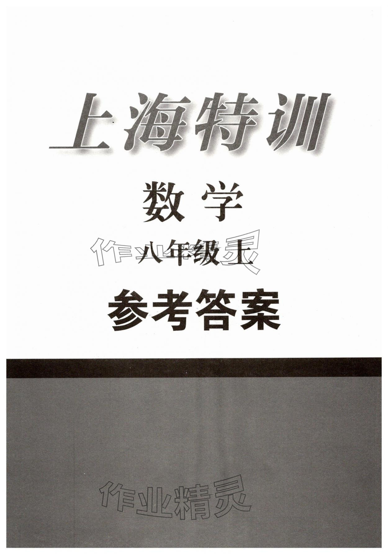 2025年上海特训八年级数学上册沪教版54制 第1页