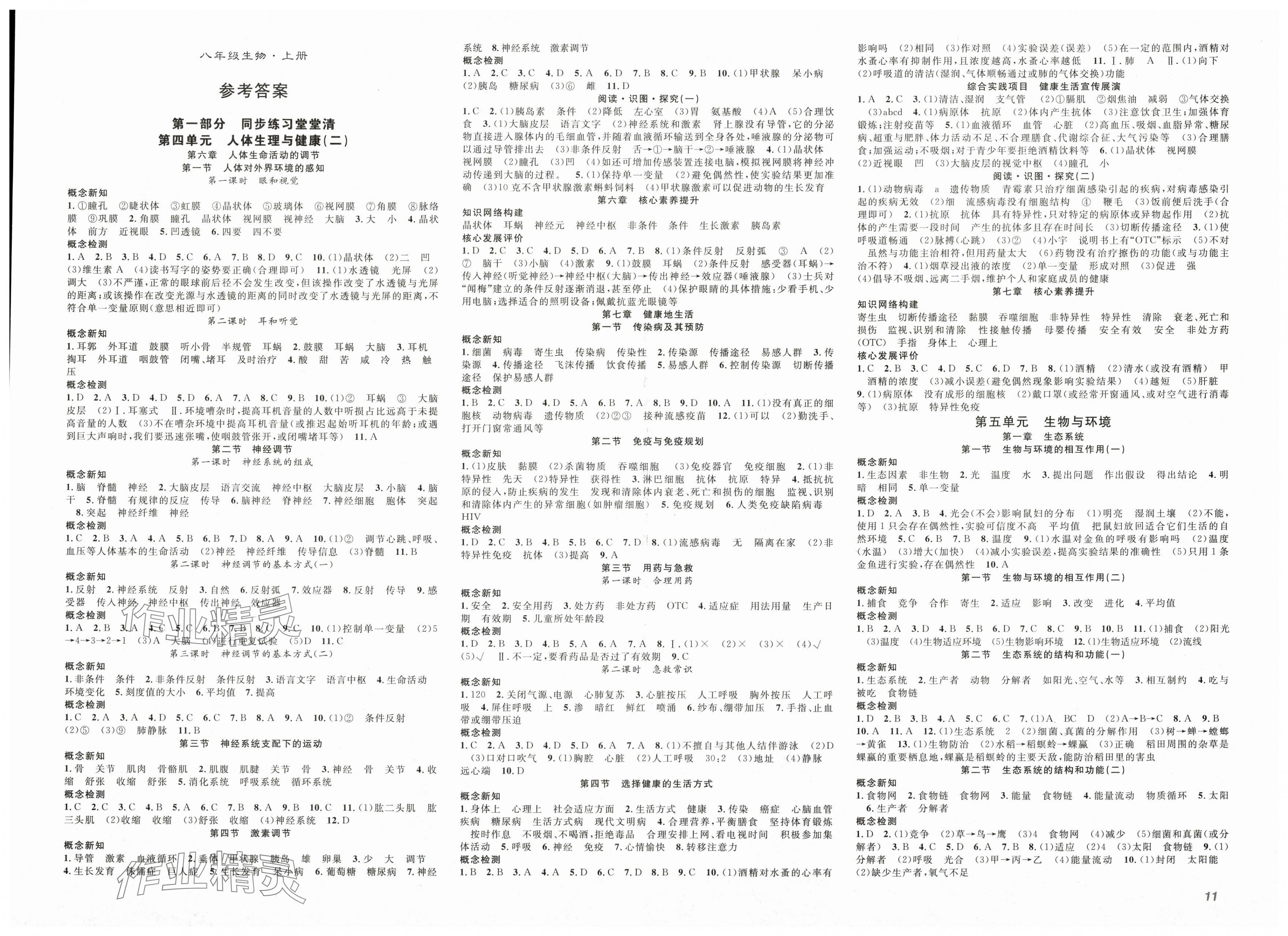 2025年名师学案八年级生物上册人教版 第1页