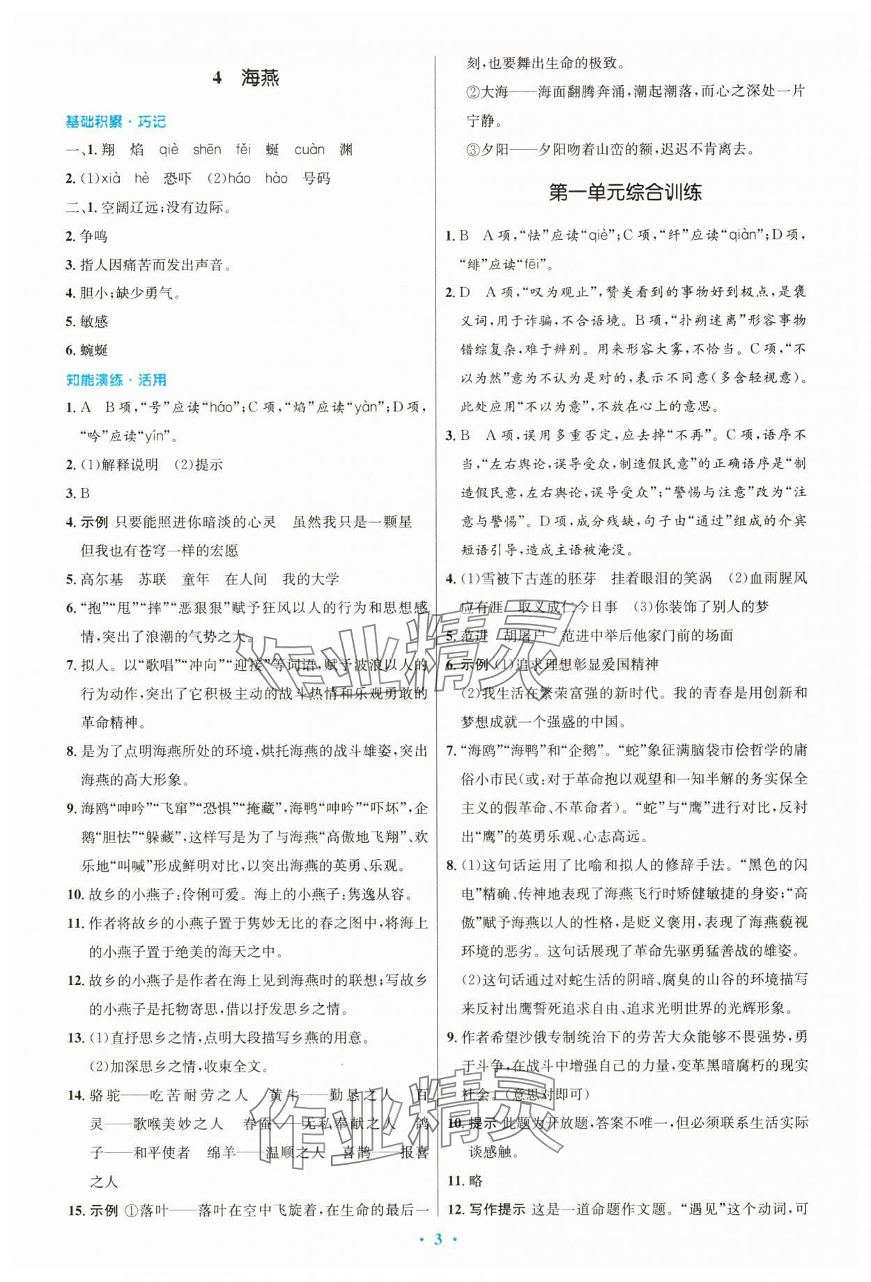 2025年同步測(cè)控優(yōu)化設(shè)計(jì)九年級(jí)語文下冊(cè)人教版精編版 第3頁