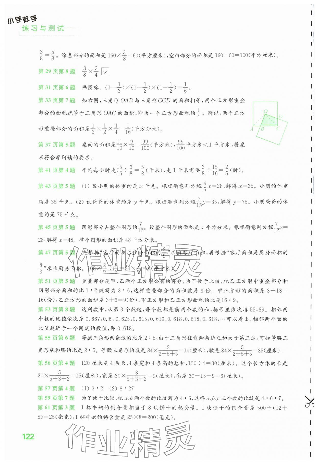 2025年练习与测试六年级数学上册苏教版 第2页