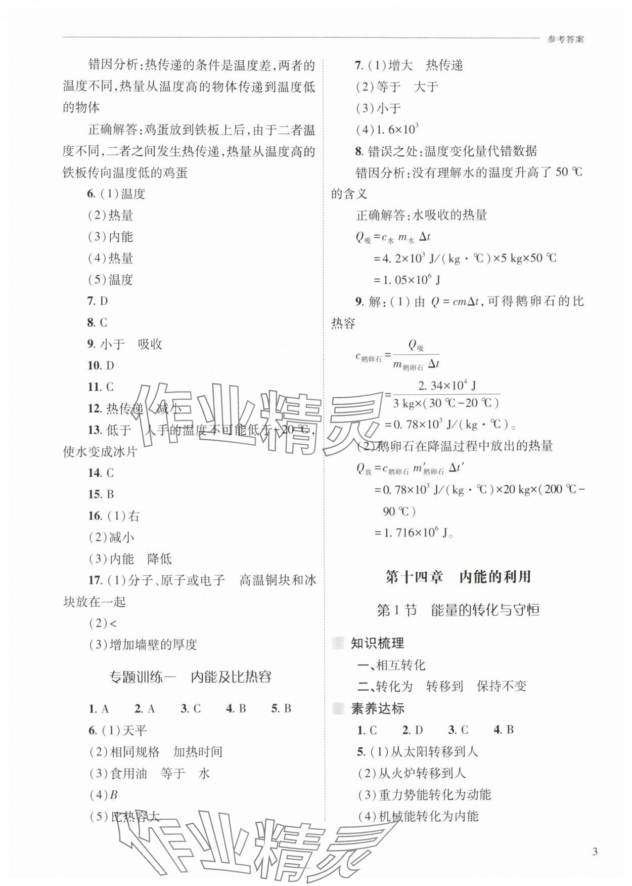 2025年新课程问题解决导学方案九年级物理全一册人教版 参考答案第3页