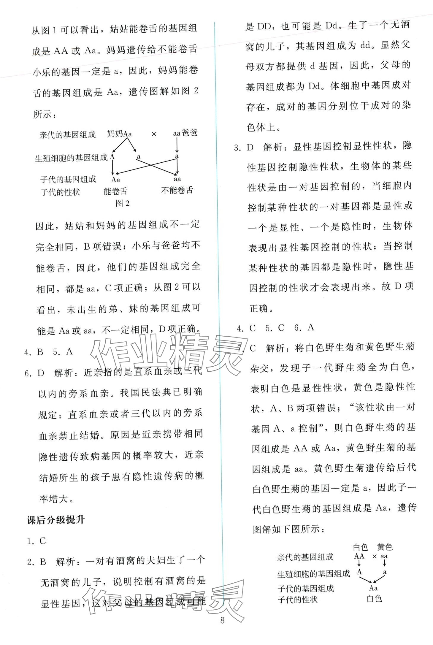 2024年同步轻松练习八年级生物下册人教版 第7页