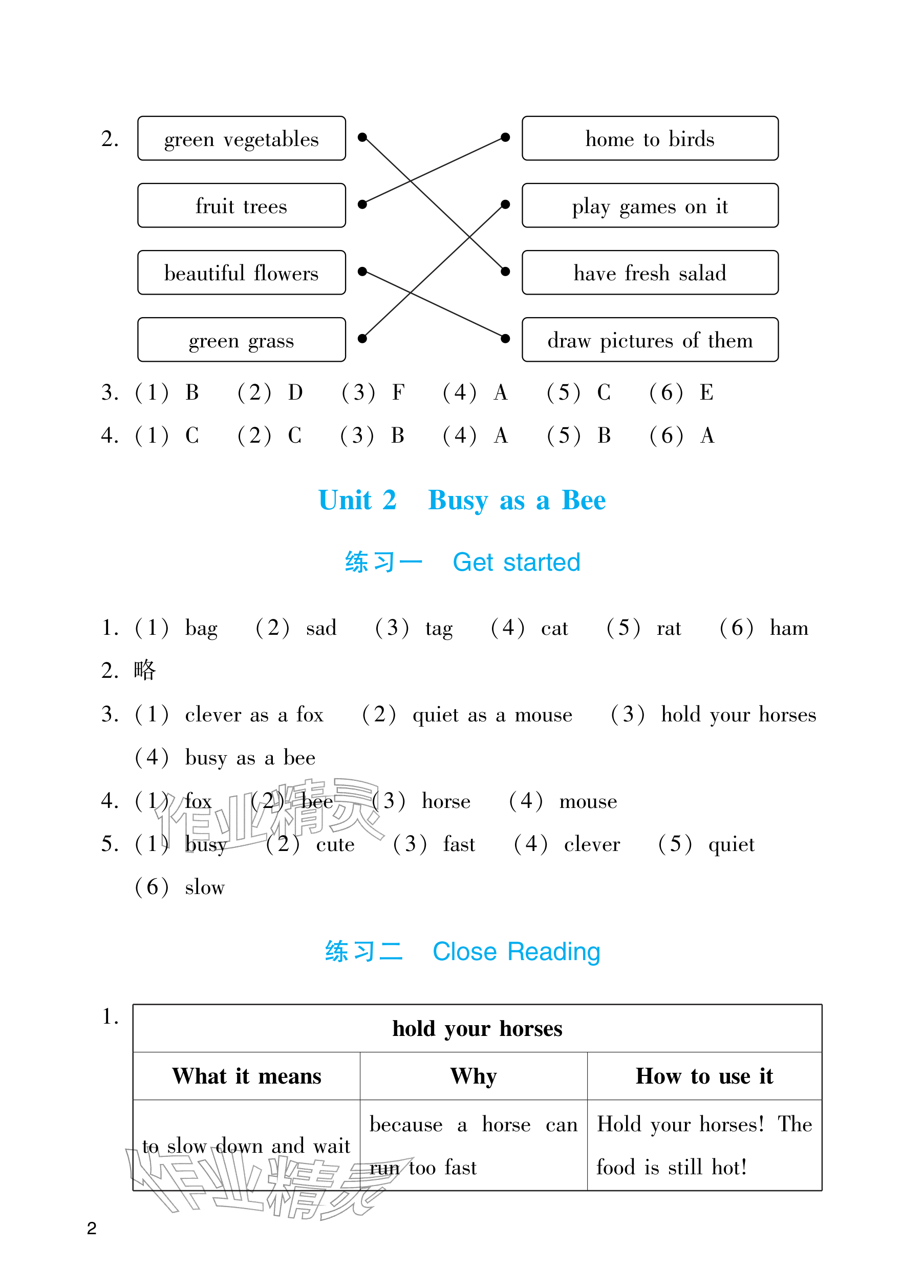 2026年阳光学业评价四年级英语下册教科版&nbsp;参考答案第2页