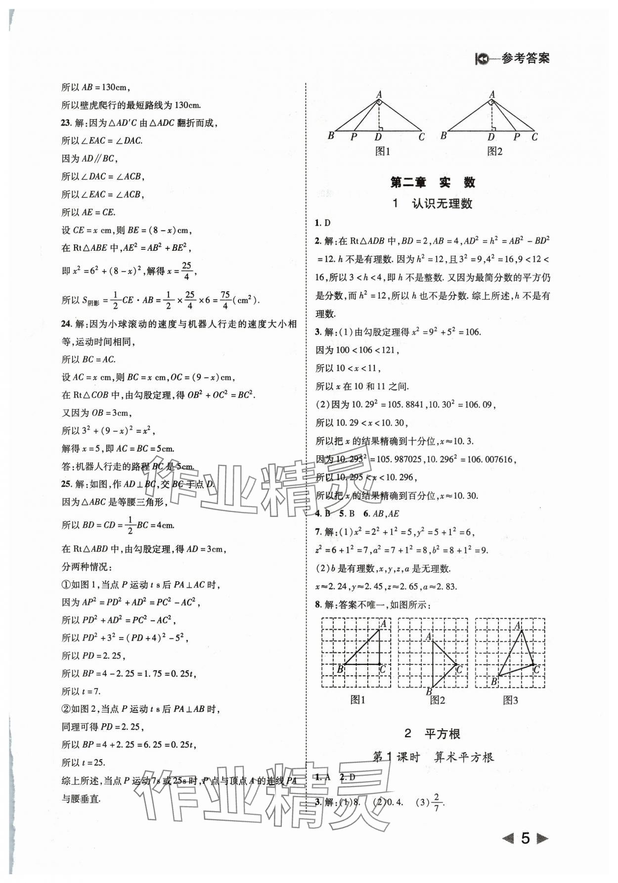 2023年胜券在握打好基础作业本八年级数学上册北师大版 第5页