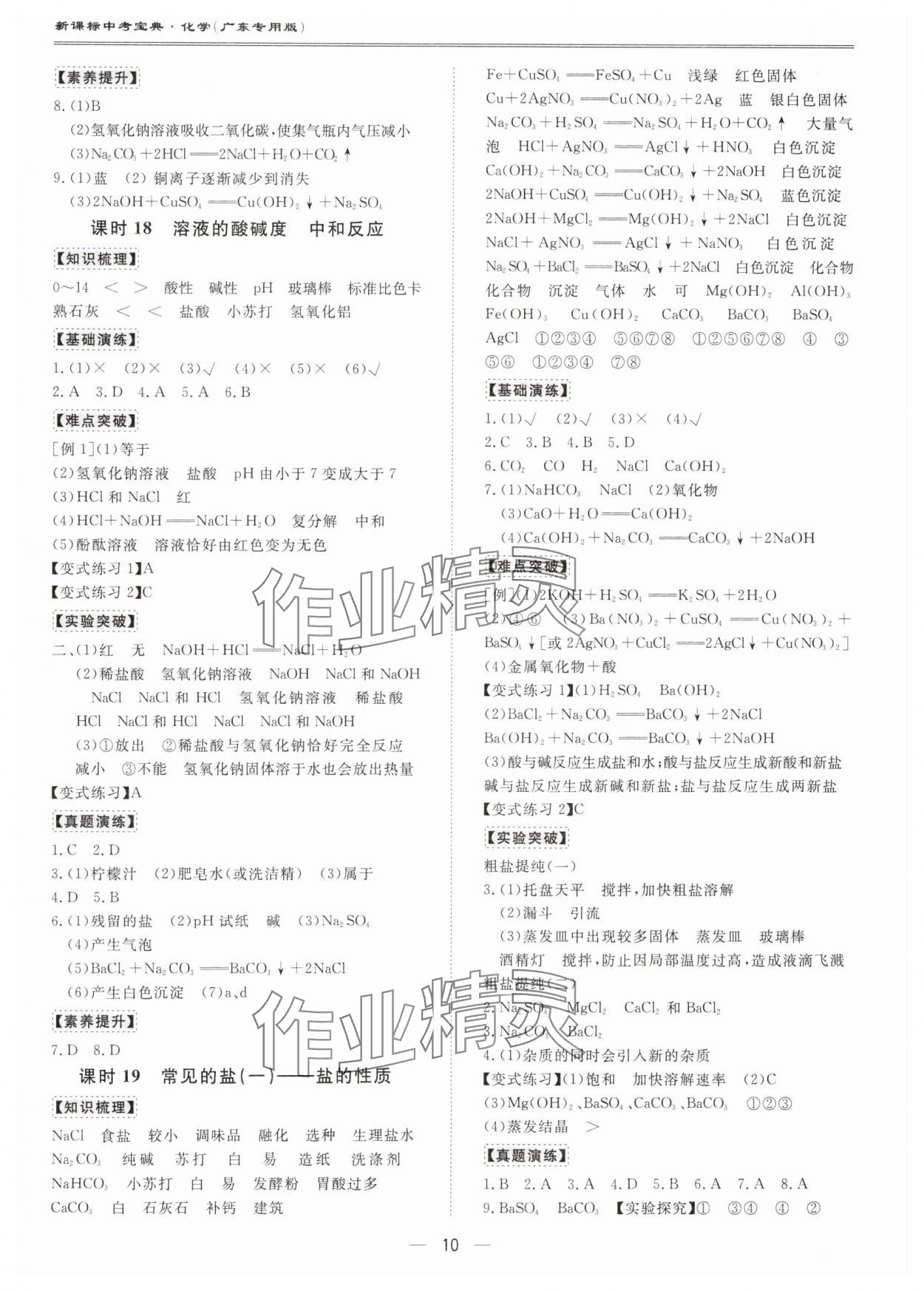 2024年新課標(biāo)中考寶典化學(xué)廣東專版 第10頁