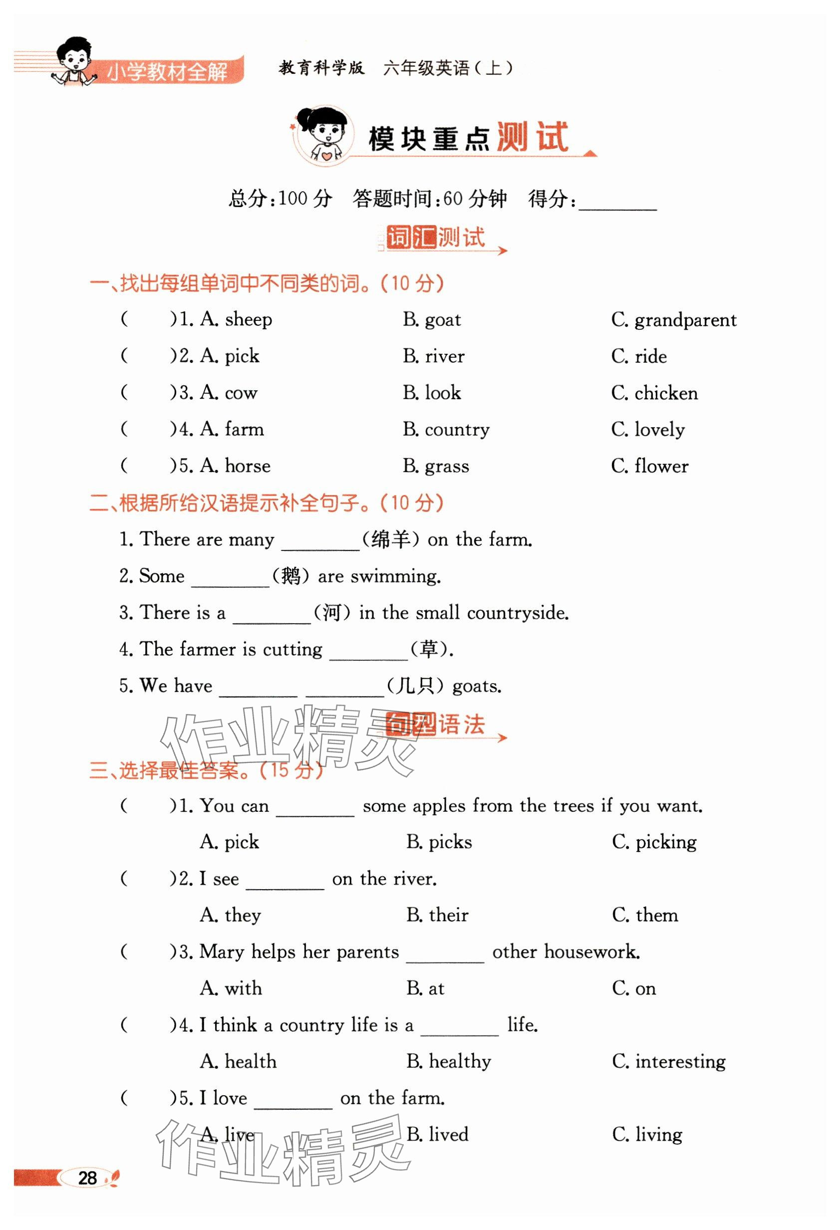 2024年教材課本六年級英語上冊教科版 參考答案第28頁