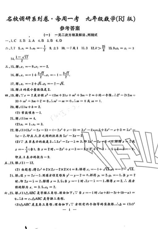 2024年名校调研系列卷每周一考九年级综合全一册人教版 第17页