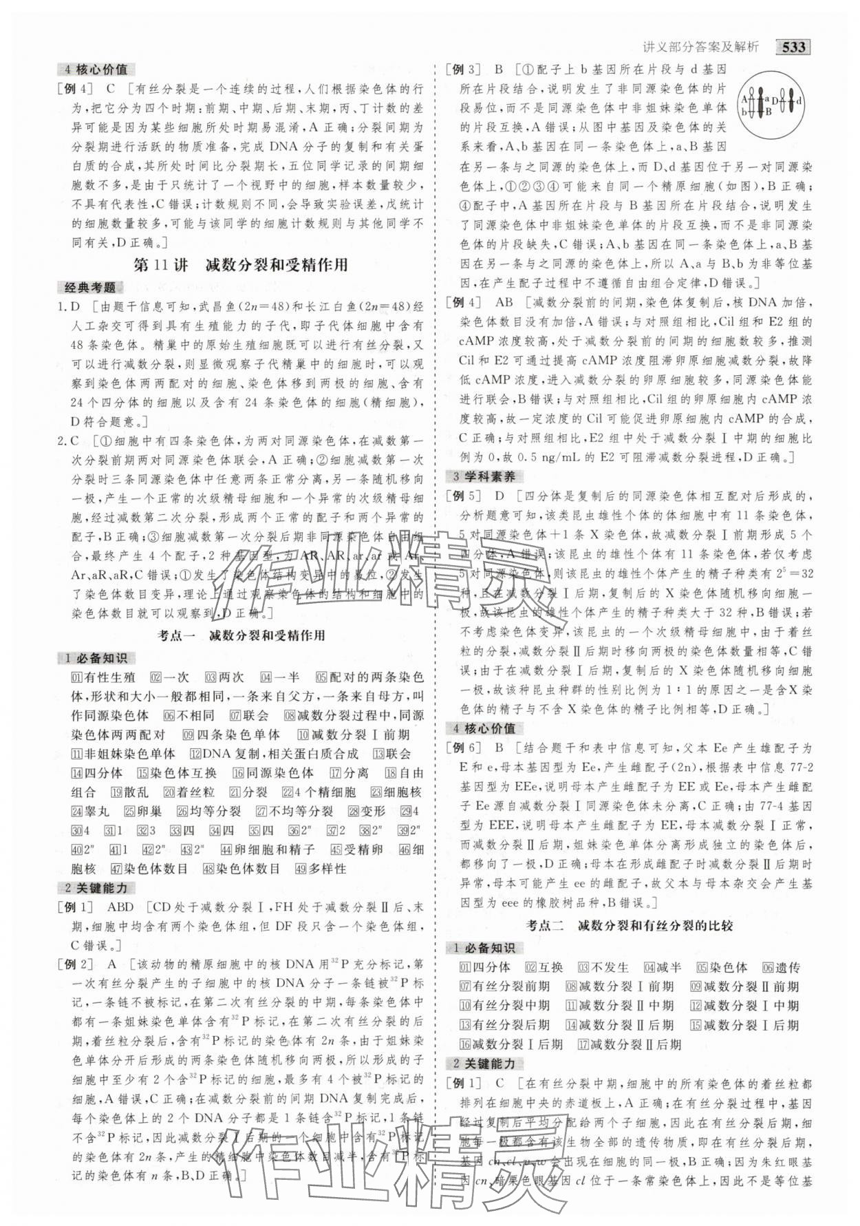 2025年金版教程高考科學(xué)復(fù)習(xí)解決方案生物創(chuàng)新版 第19頁