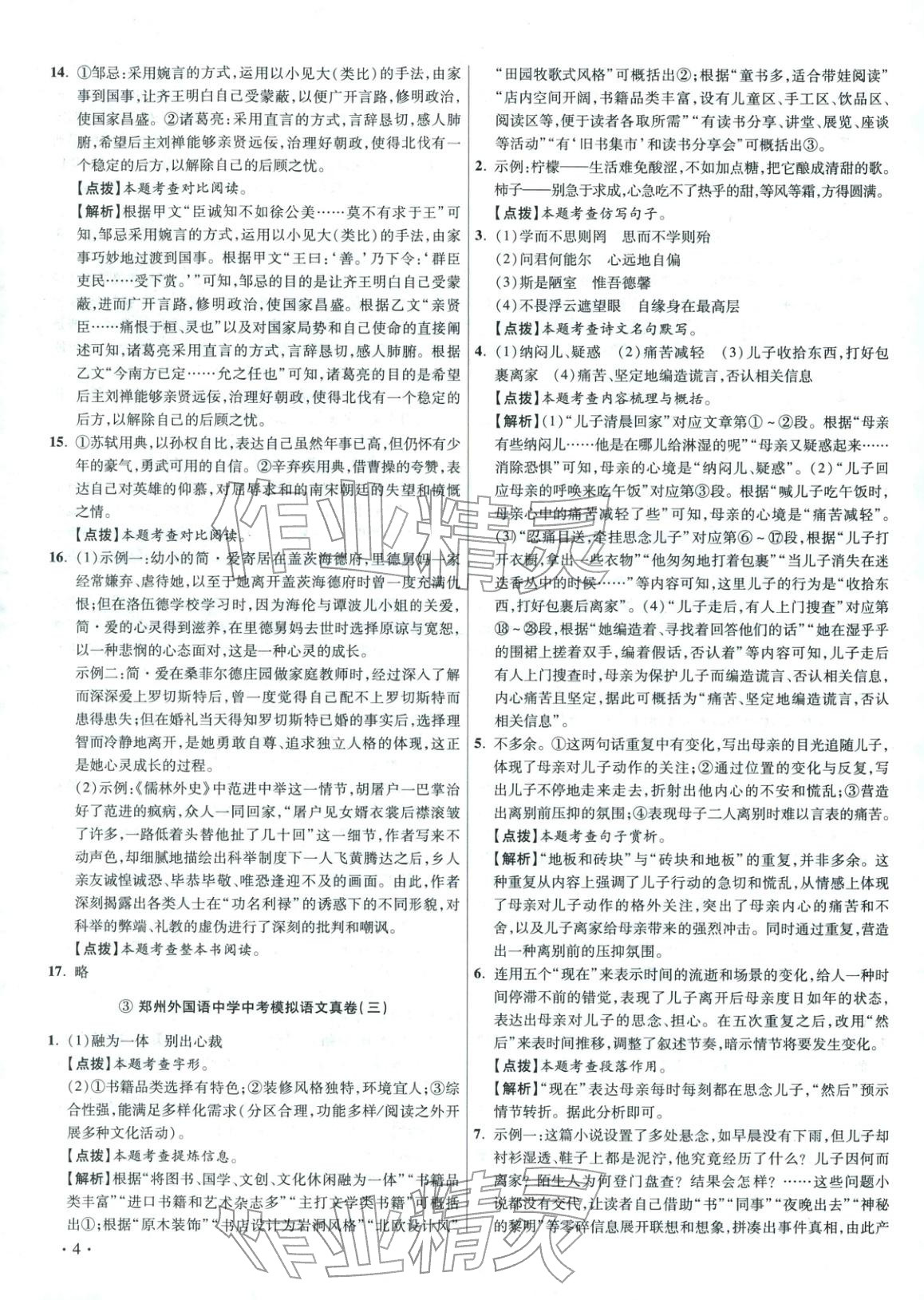 2026年初中毕业升学真题详解语文河南专版 第4页