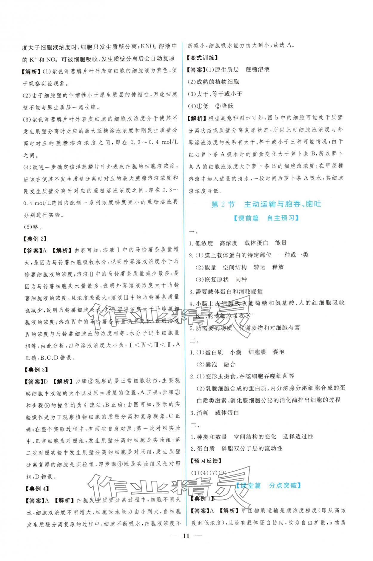 2024年新課程同步練習冊生物必修1人教版 參考答案第11頁