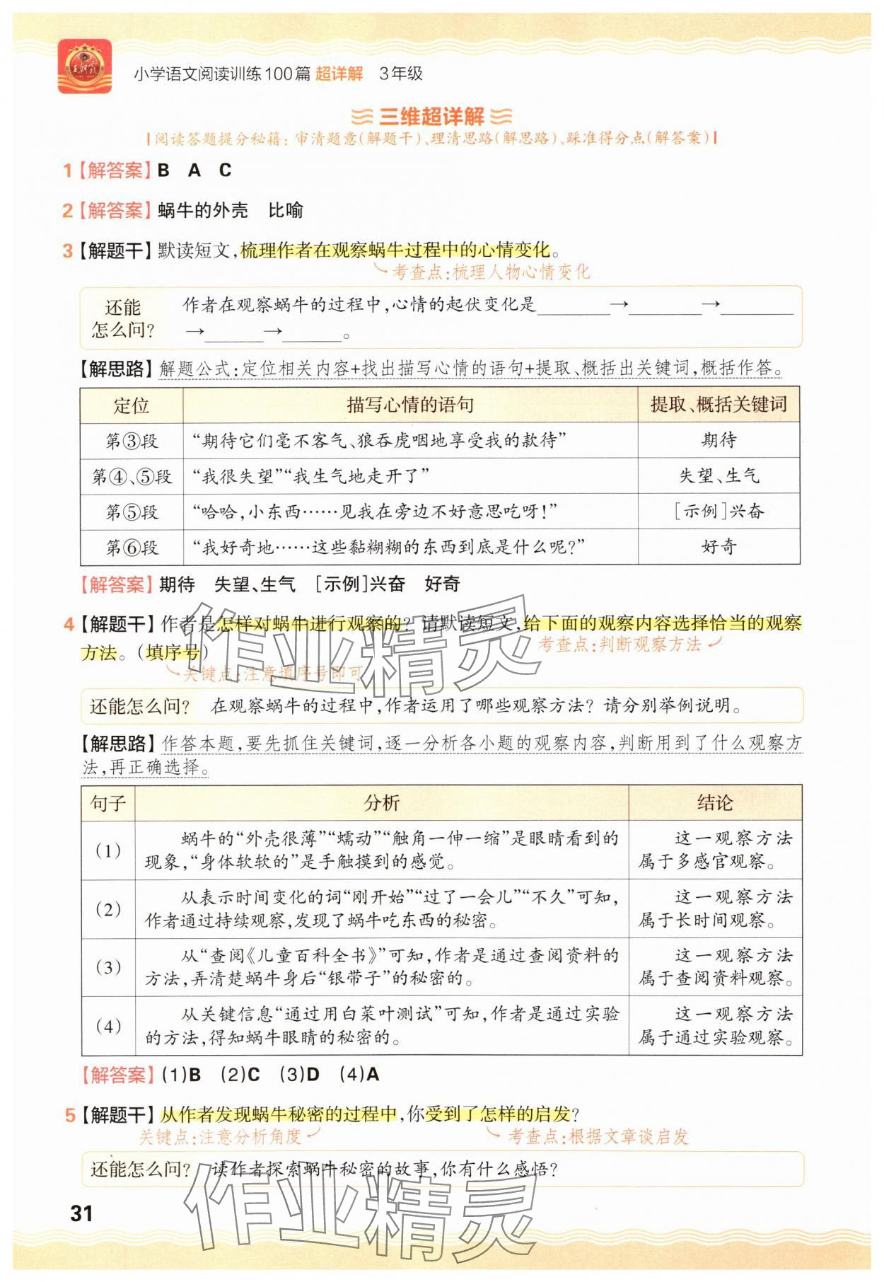 2025年王朝霞小学语文阅读训练100篇三年级&nbsp;参考答案第31页