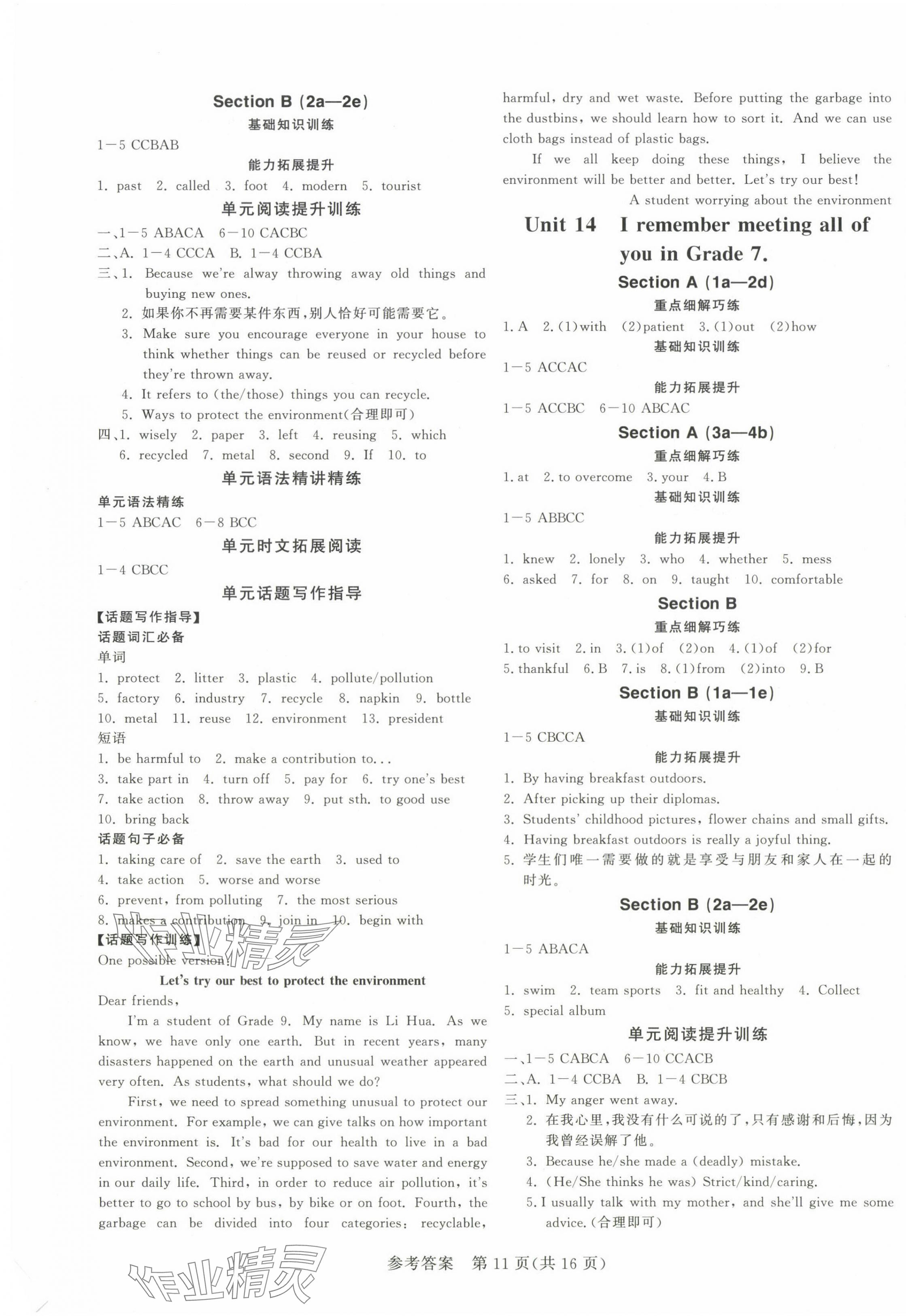 2024年課堂過關(guān)循環(huán)練九年級(jí)英語全一冊(cè)人教版 第11頁