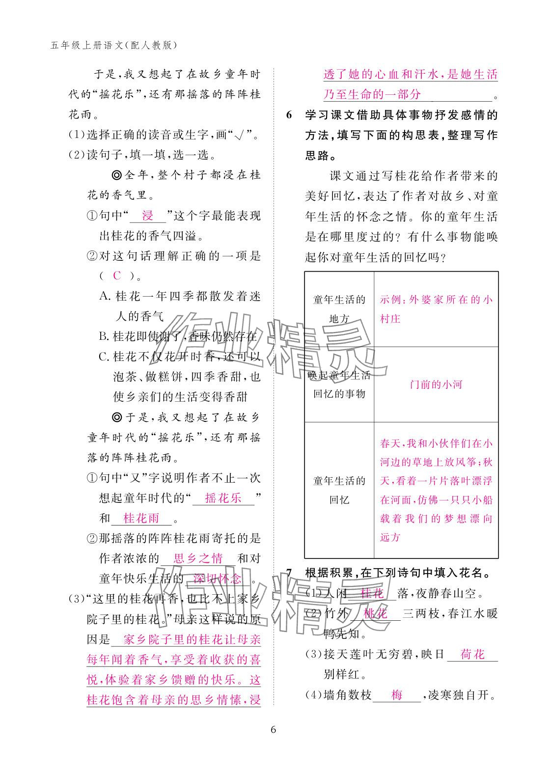 2025年作业本江西教育出版社五年级语文上册人教版 参考答案第6页