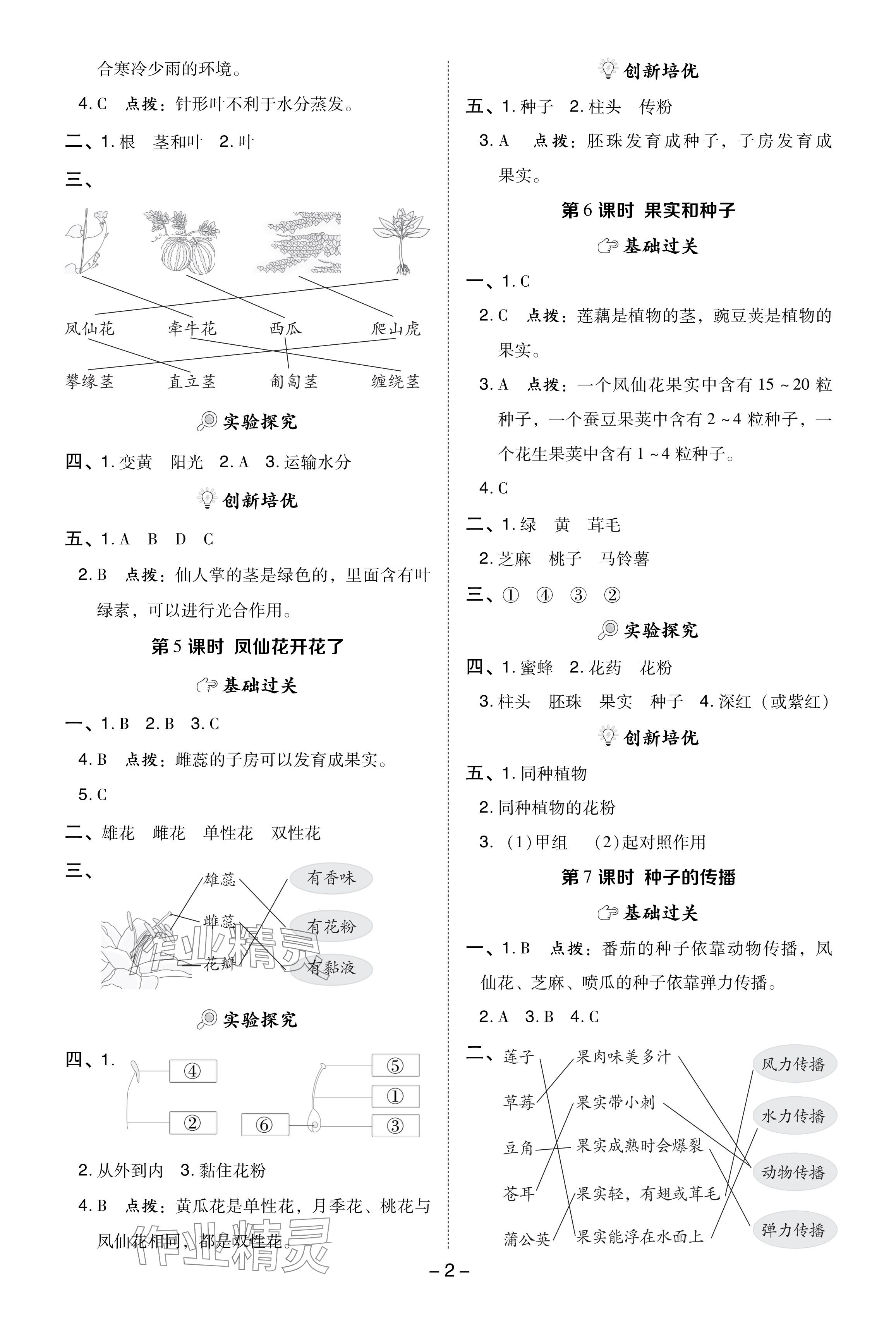 2024年綜合應(yīng)用創(chuàng)新題典中點(diǎn)四年級(jí)科學(xué)下冊(cè)教科版 參考答案第2頁