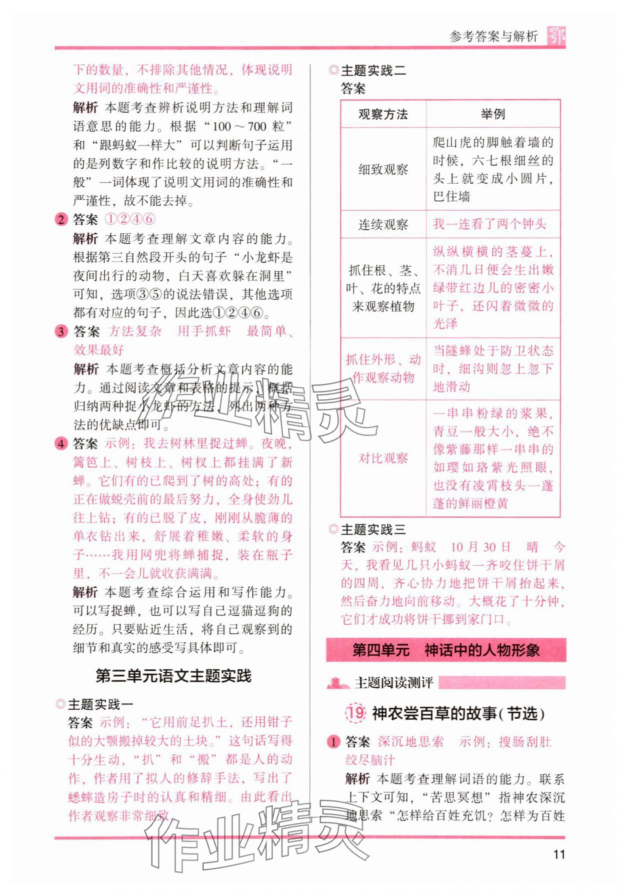 2025年木頭馬閱讀力測評四年級語文人教版A版武漢專版 第11頁