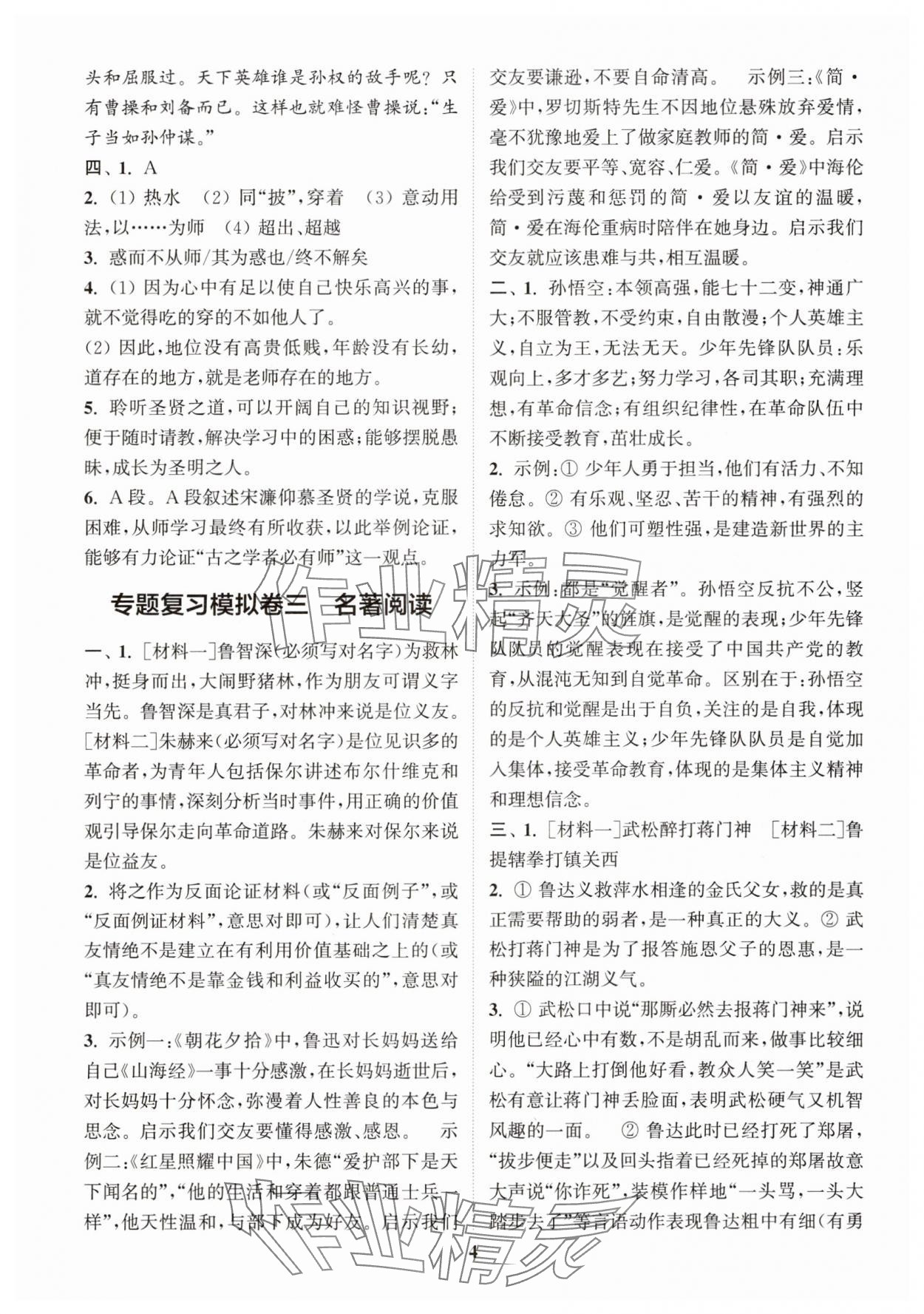 2025年中考專題復(fù)習(xí)模擬沖刺卷語文 第4頁