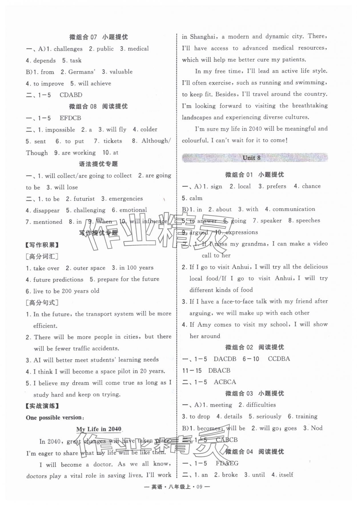 2025年学霸组合训练八年级英语上册人教版济南专版 第9页