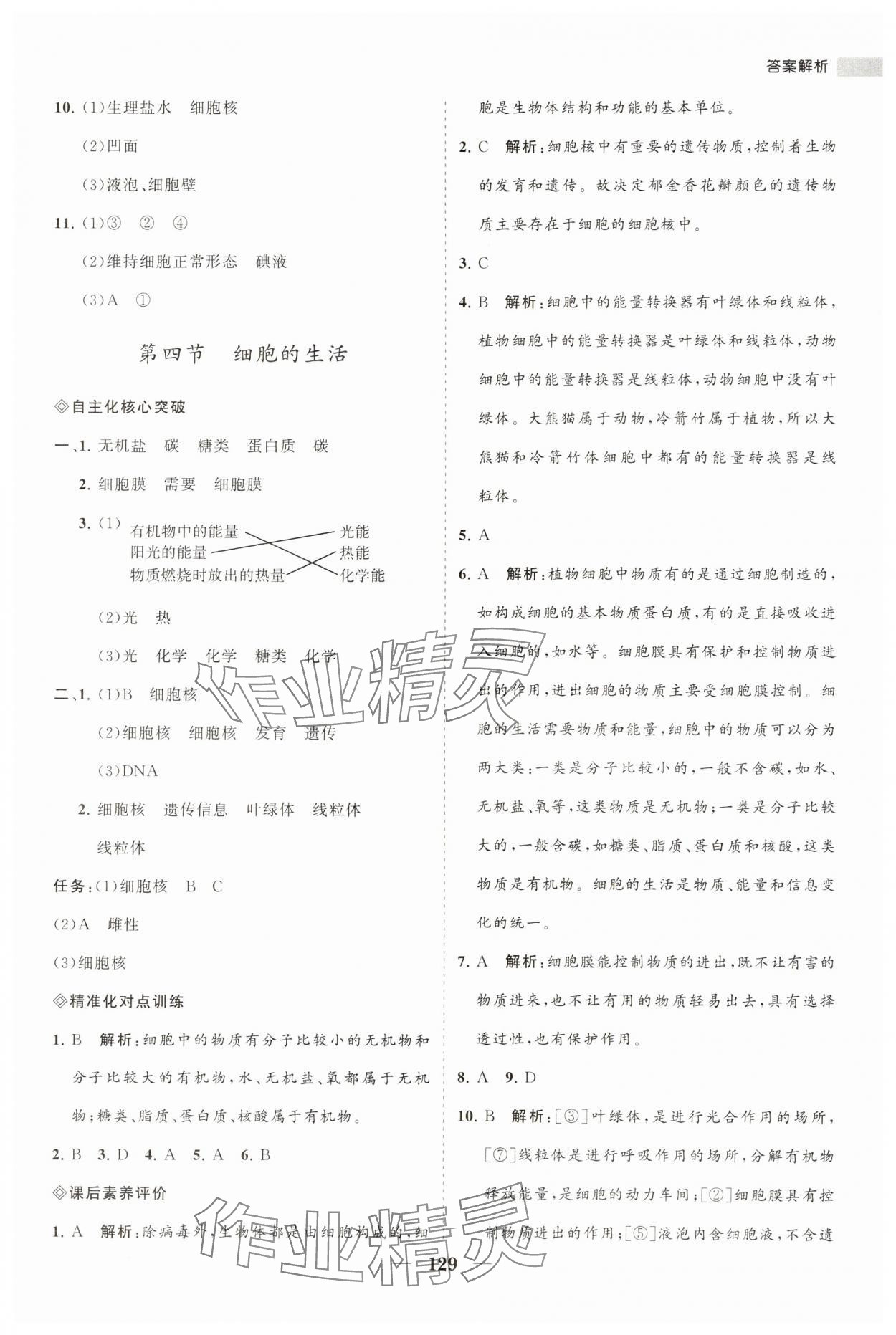 2023年新课程同步练习册七年级生物上册人教版 第11页