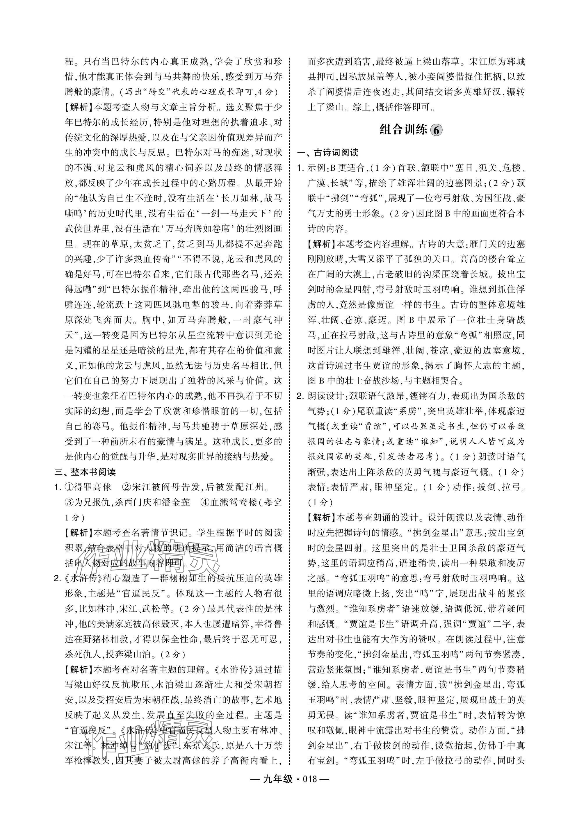 2025年學霸組合訓練九年級語文人教版 參考答案第18頁
