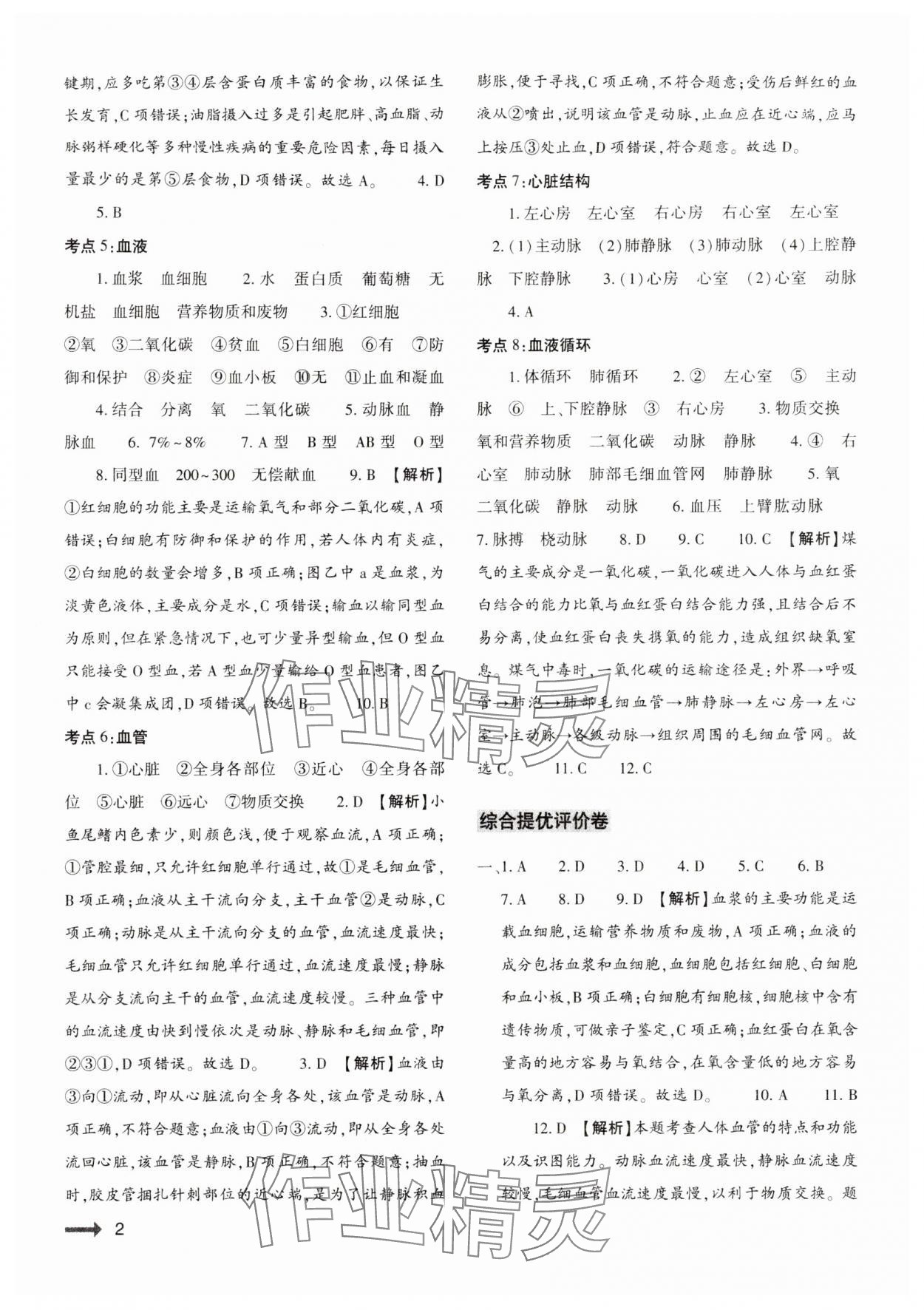 2024年節(jié)節(jié)高大象出版社七年級生物下冊北師大版 參考答案第2頁