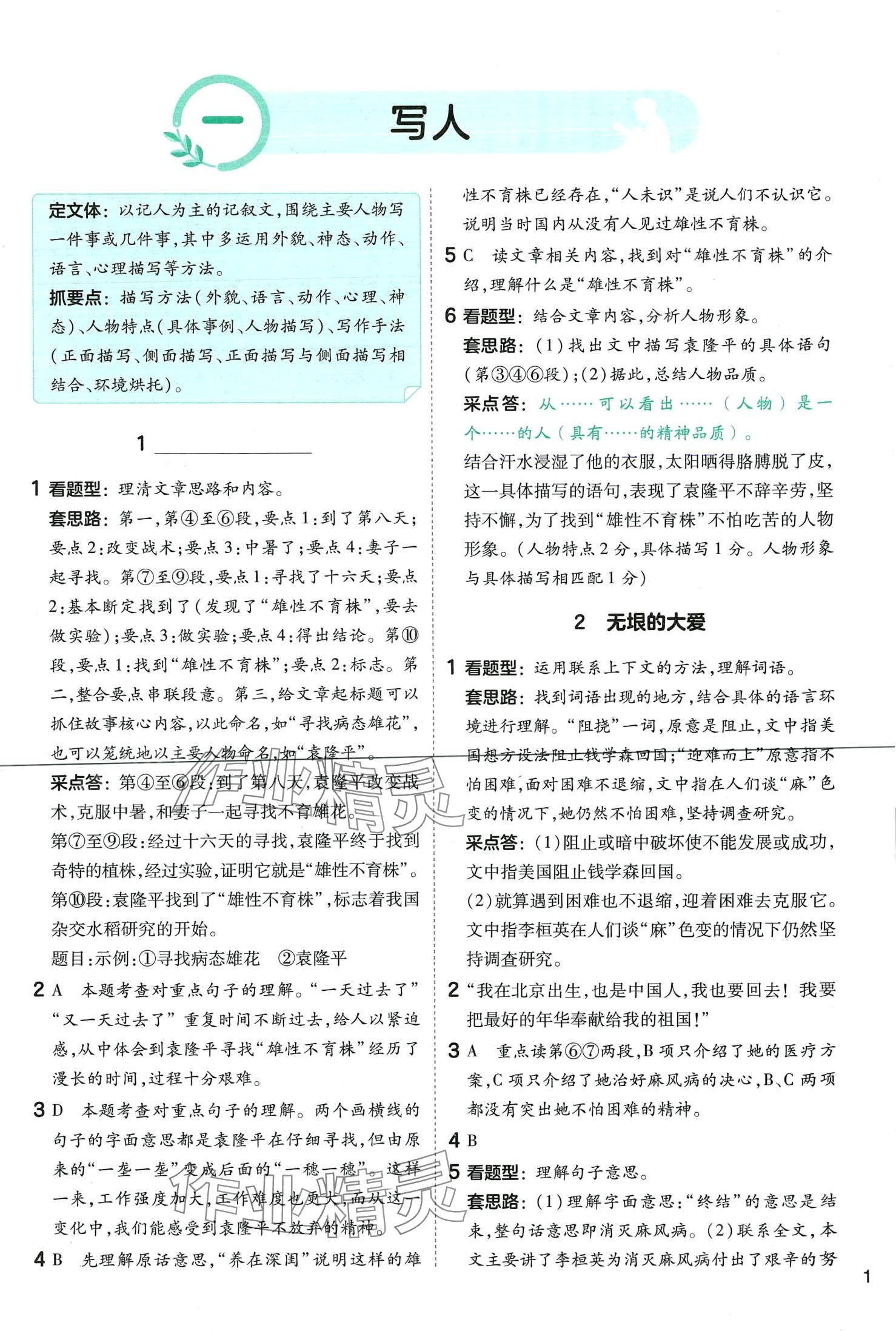 2024年語文閱讀訓練五年級全一冊人教版 第3頁