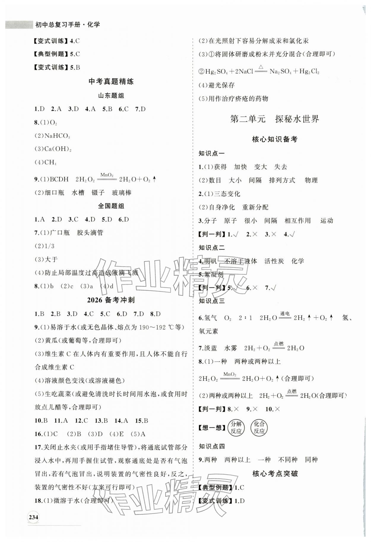 2026年初中總復習手冊山東人民出版社化學魯教版&nbsp;第2頁