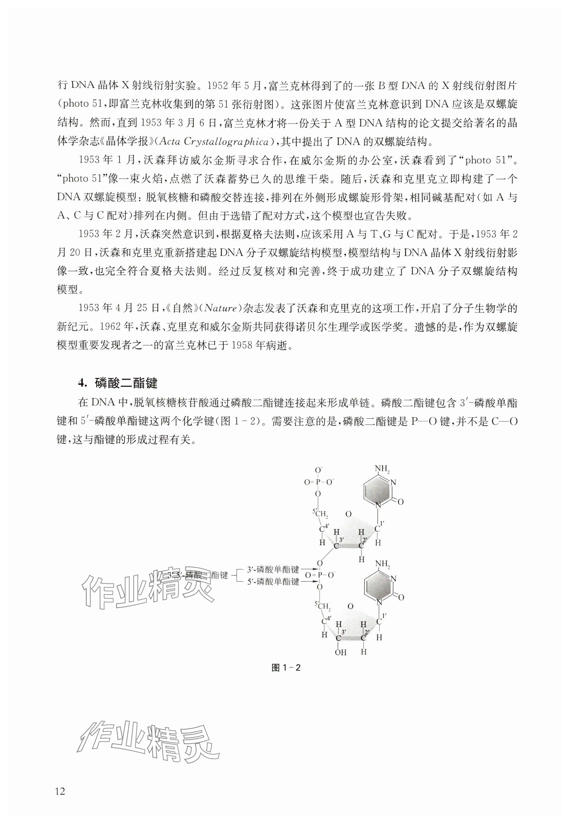 2024年教材課本高中生物必修2滬教版 參考答案第12頁