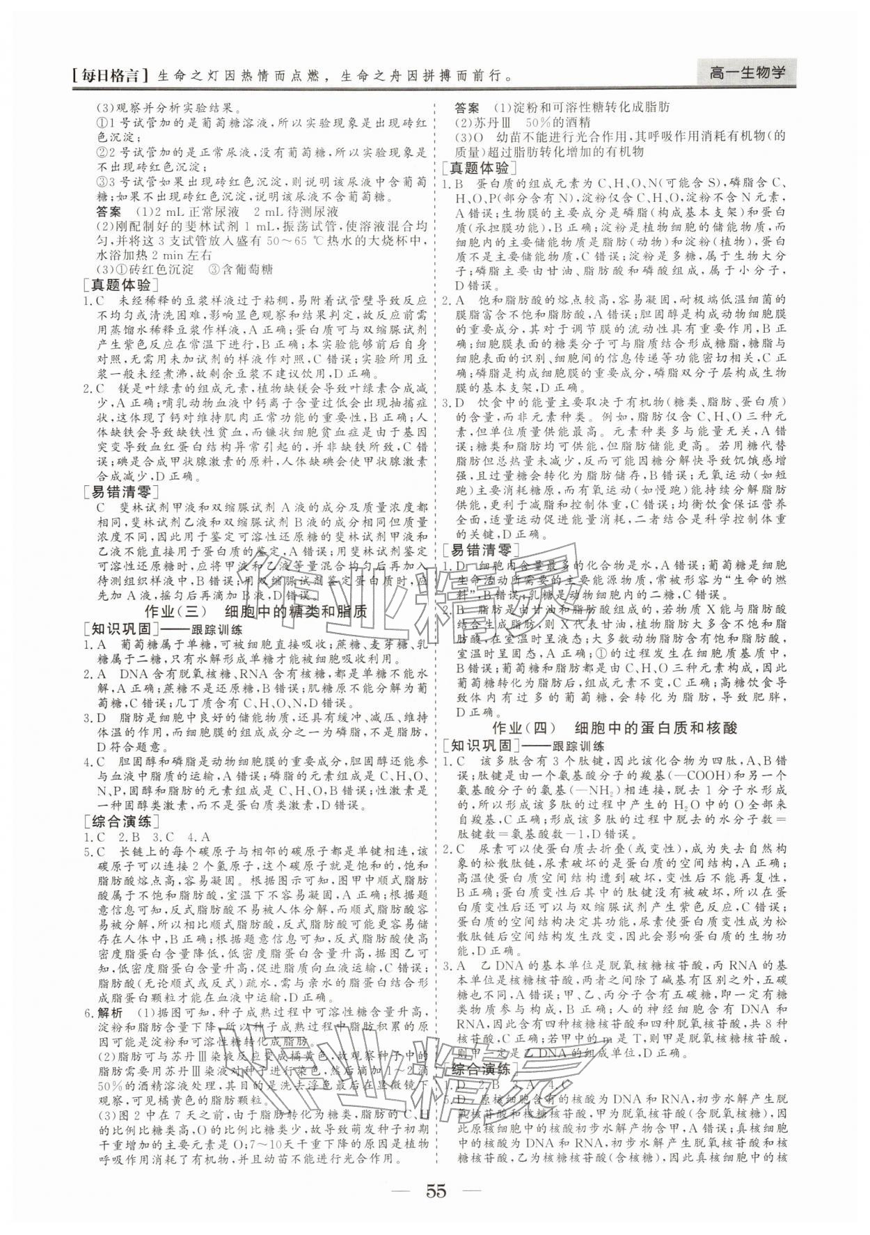 2026年寒假作业山东美术出版社高一生物&nbsp;参考答案第2页