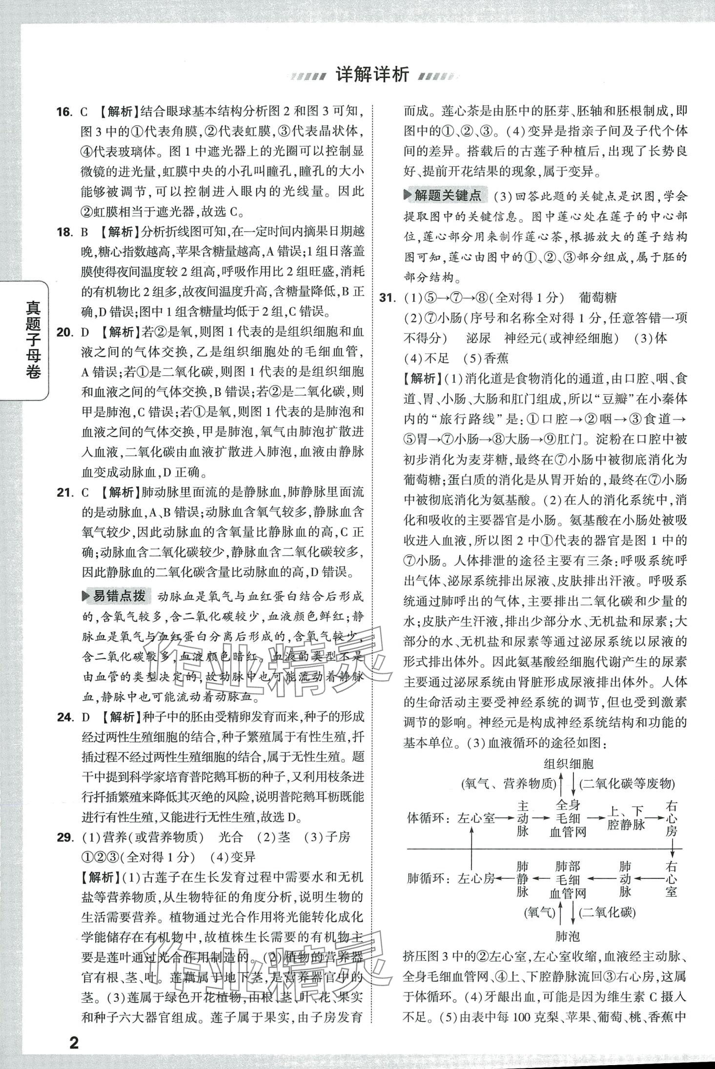 2024年万唯中考真题子母卷生物陕西专版 第2页