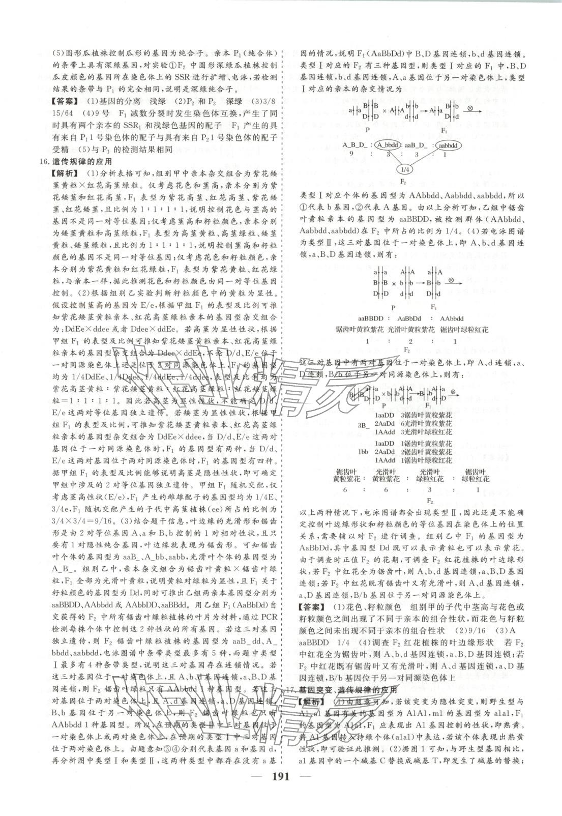 2026年168优化重组卷五年高考真题分类汇编高中生物全一册通用版 第11页
