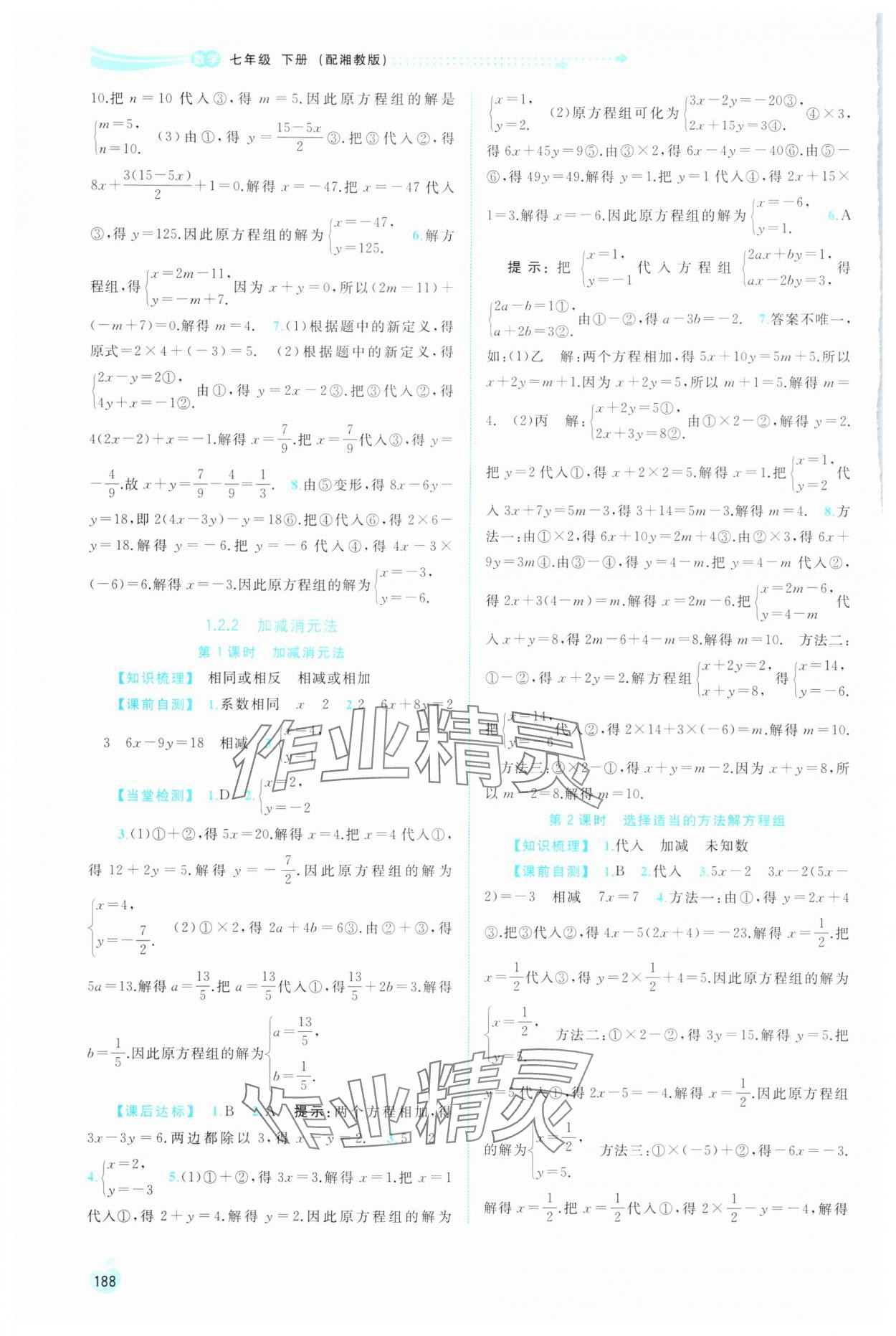 2024年新課程學(xué)習(xí)與測評(píng)同步學(xué)習(xí)七年級(jí)數(shù)學(xué)下冊(cè)湘教版 第2頁