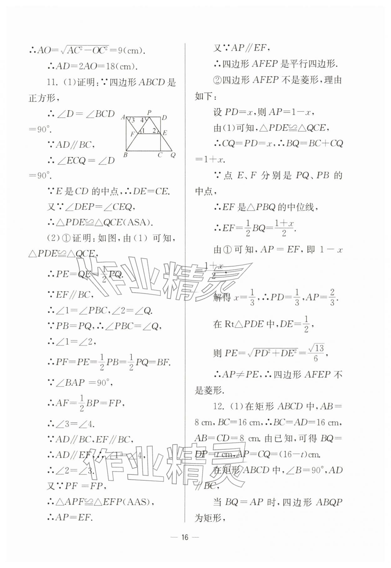 2026年中学生世界八年级数学下册沪教版54制&nbsp;参考答案第16页