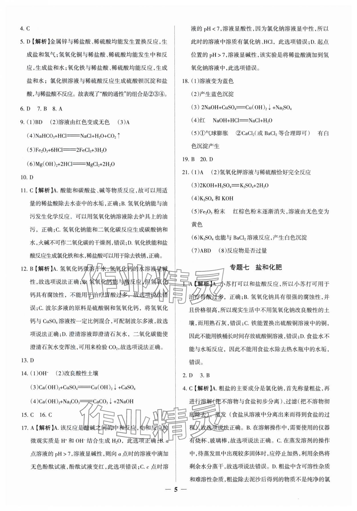 2025年中考真題分類集訓(xùn)化學(xué) 參考答案第5頁(yè)