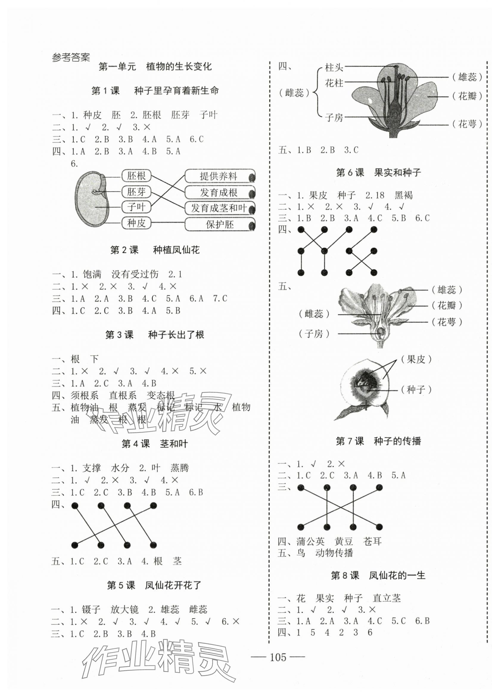 2024年科學(xué)速記大通關(guān)四年級(jí)下冊(cè)教科版 第1頁