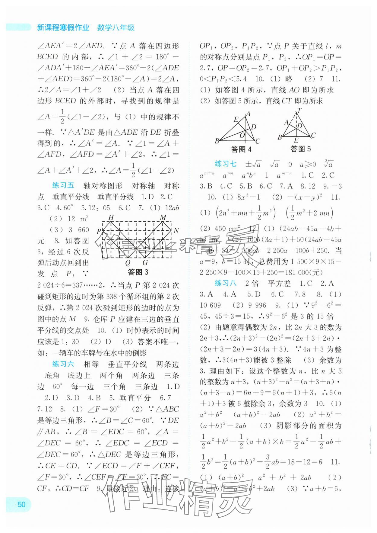 2025年新课程寒假作业广西师范大学出版社八年级数学 第2页