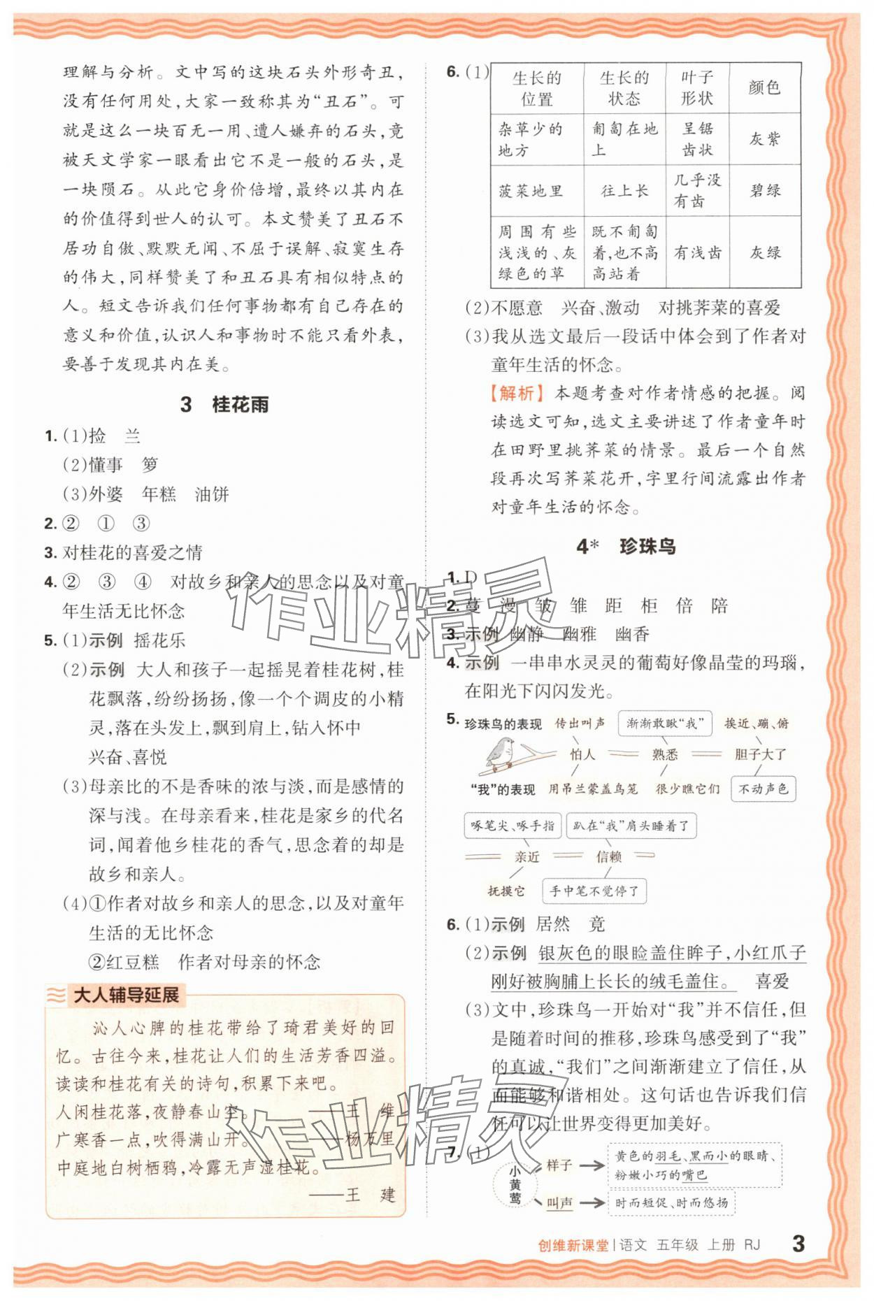 2025年創(chuàng)維新課堂五年級(jí)語文上冊人教版 第3頁
