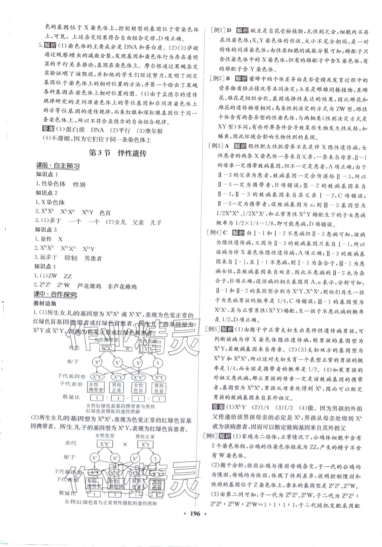 2024年状元桥优质课堂高中生物必修2人教版 参考答案第11页