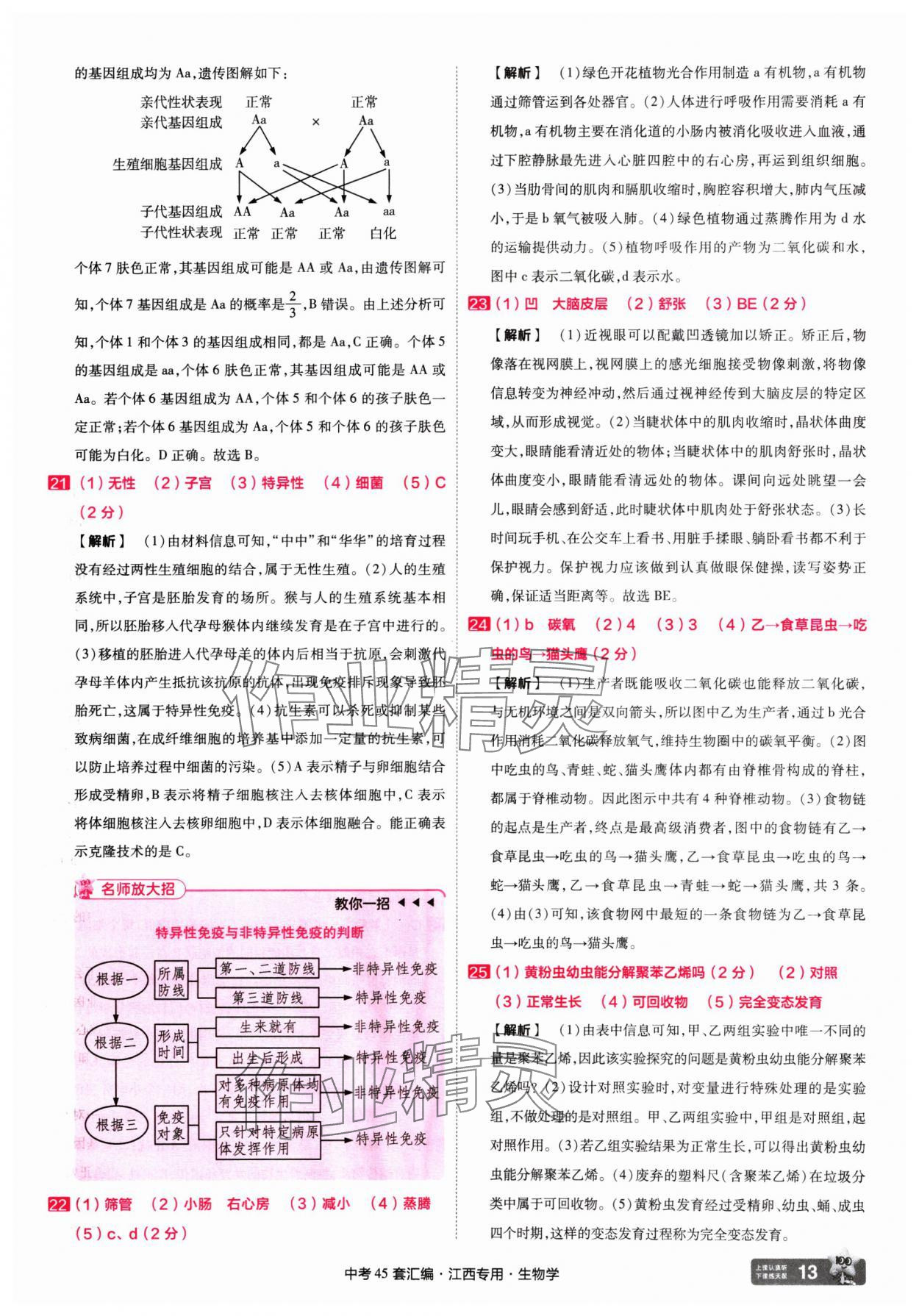 2025年金考卷45套匯編生物中考江西專版 第13頁