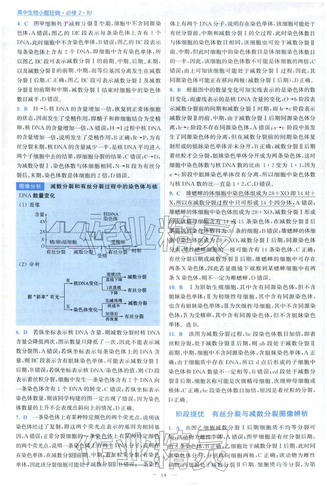 2025年小题狂做高中生物必修第二册人教版 第14页