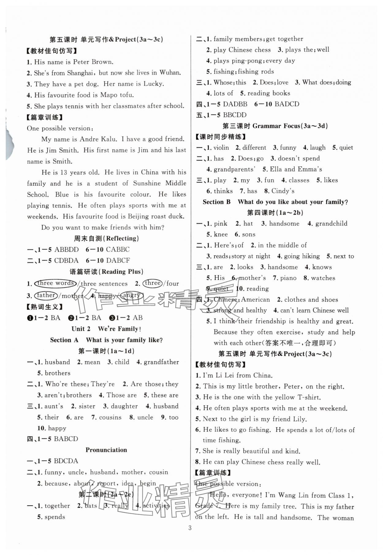 2024年課時奪冠七年級英語上冊人教版河南專版 第3頁