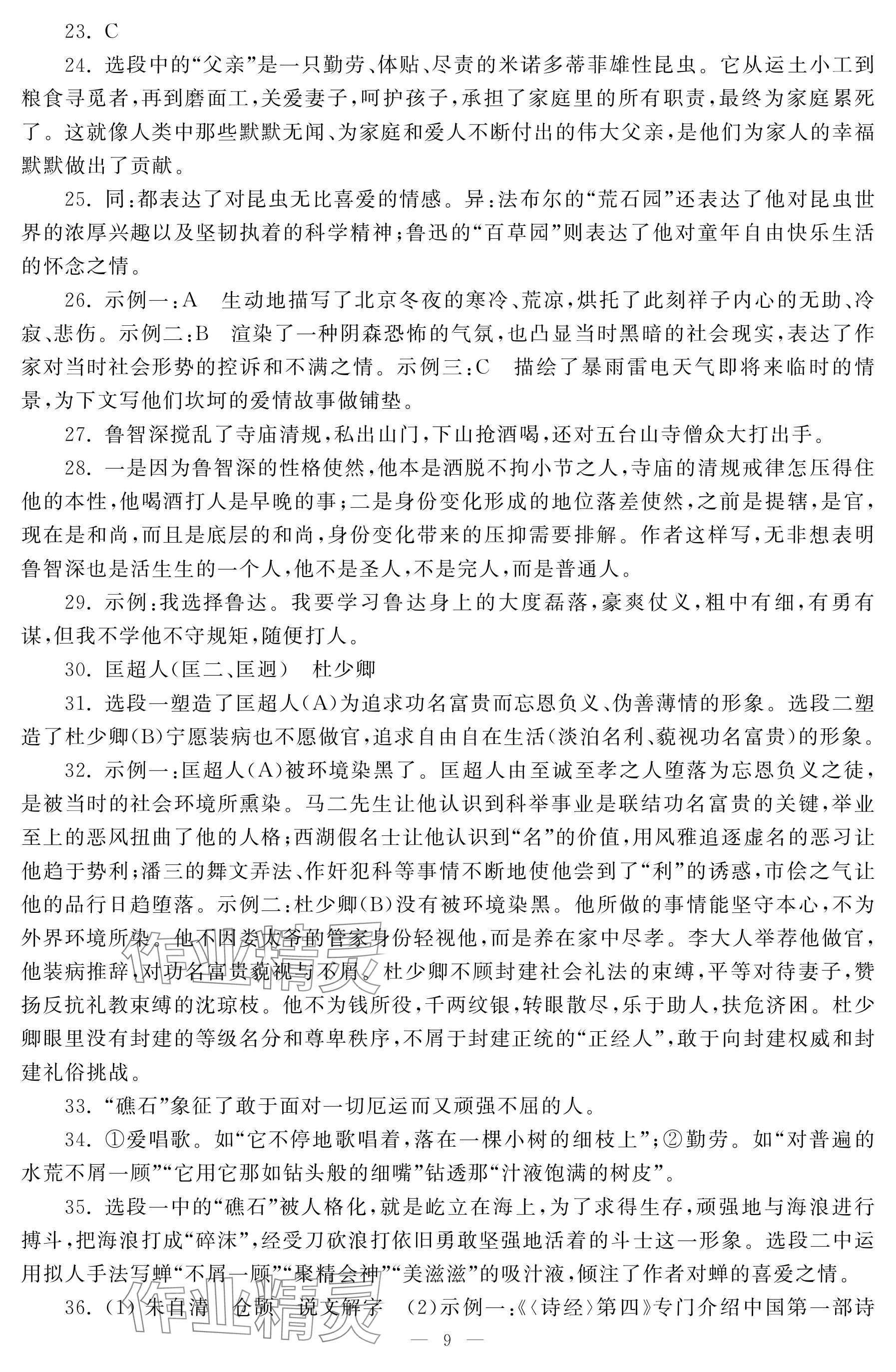 2024年初中学练案九年级语文下册人教版&nbsp;参考答案第9页